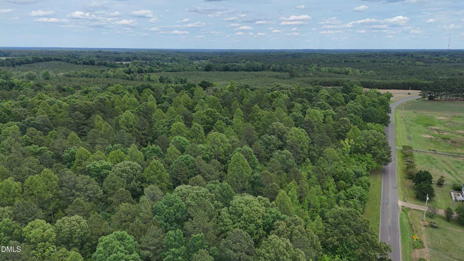 Aerial view of a dense, green forest with a winding road on the right side, open fields to the far right, and a vast horizon under a partly cloudy sky.