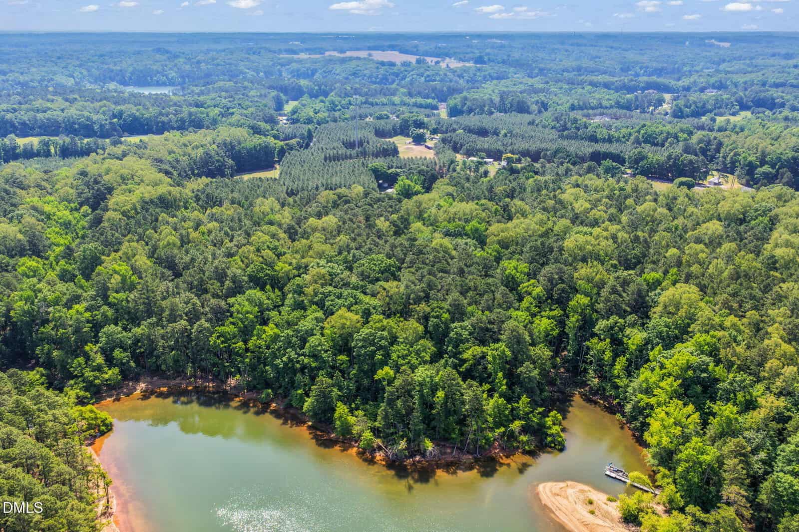 Aerial view of a lush, green forest bordering a calm river or lake with a small sandy shore and a boat docked nearby; farmland and more trees extend into the distant background.