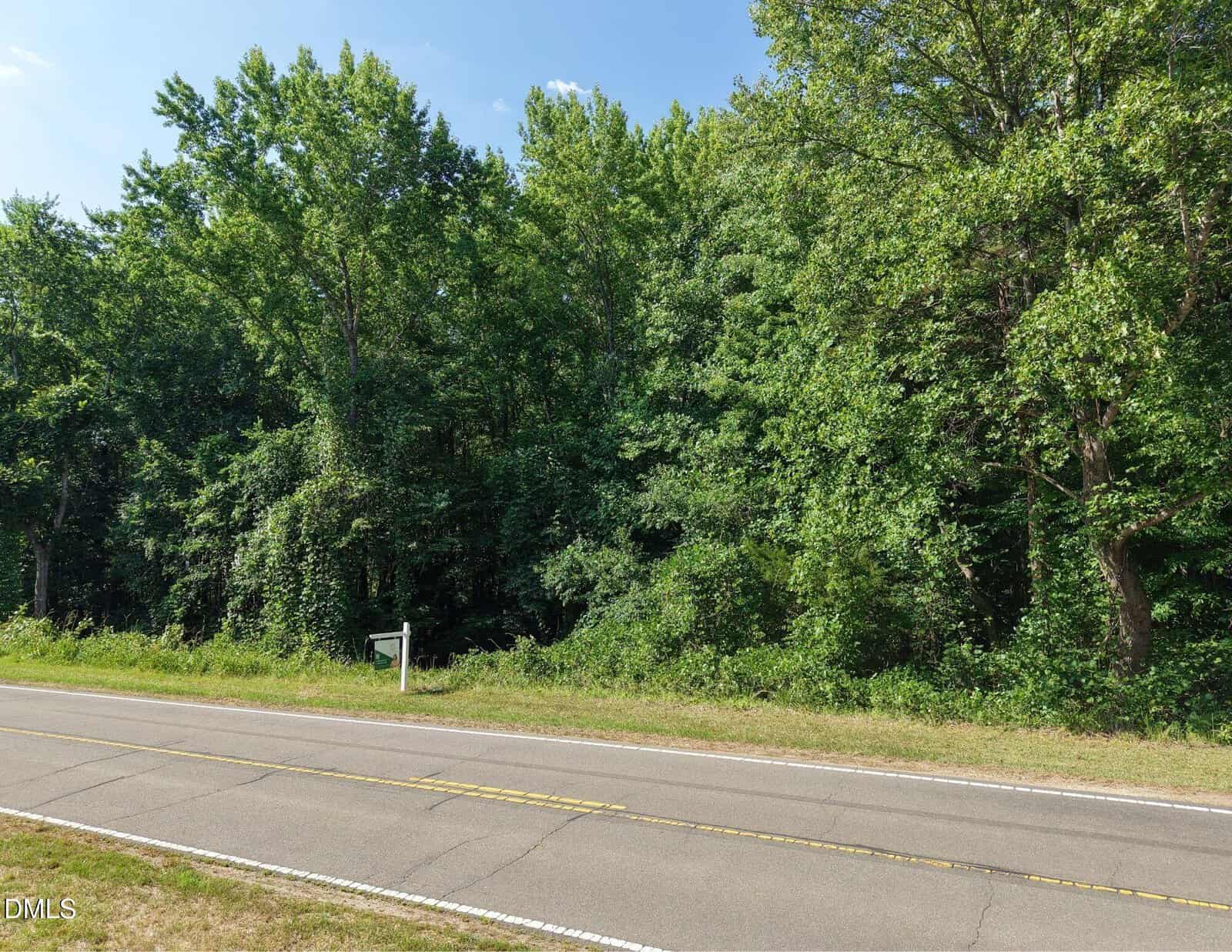 A paved two-lane road with yellow lines runs alongside a dense forest of tall green trees and bushes under a clear blue sky. A small white roadside sign is visible near the trees.