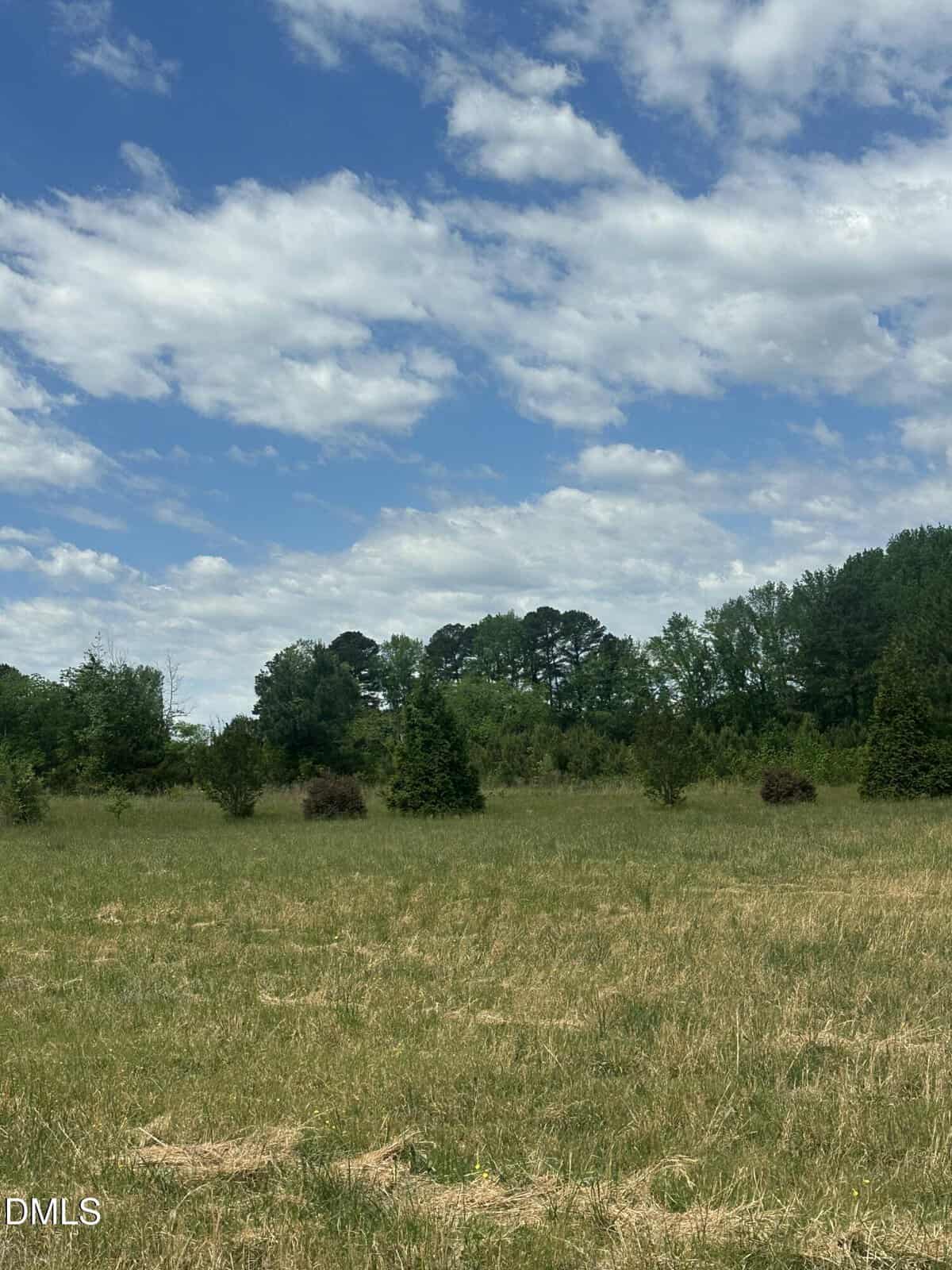 Open grassy field with scattered small bushes and trees near 0 NC 96, bordered by a line of tall, leafy trees under a partly cloudy blue Youngsville sky.