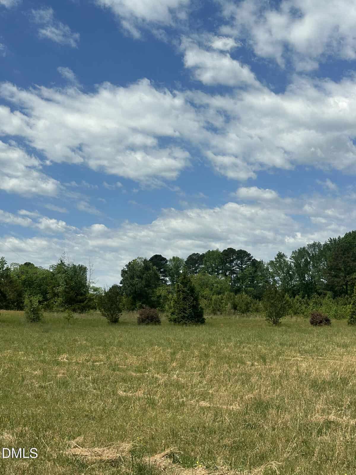Open field with sparse grass and small bushes, bordered by a line of green trees under a partly cloudy blue sky.