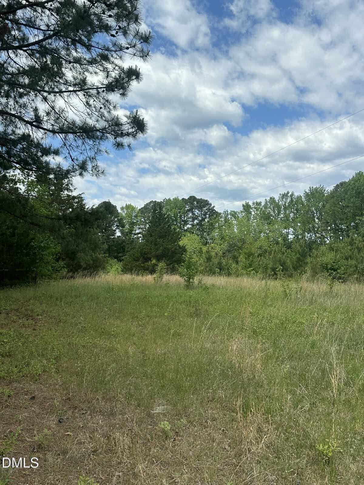 A grassy clearing surrounded by trees under a partly cloudy sky. Tall grass and small shrubs cover the uneven ground, with dense green foliage visible in the background. Pines and other trees line the edges.