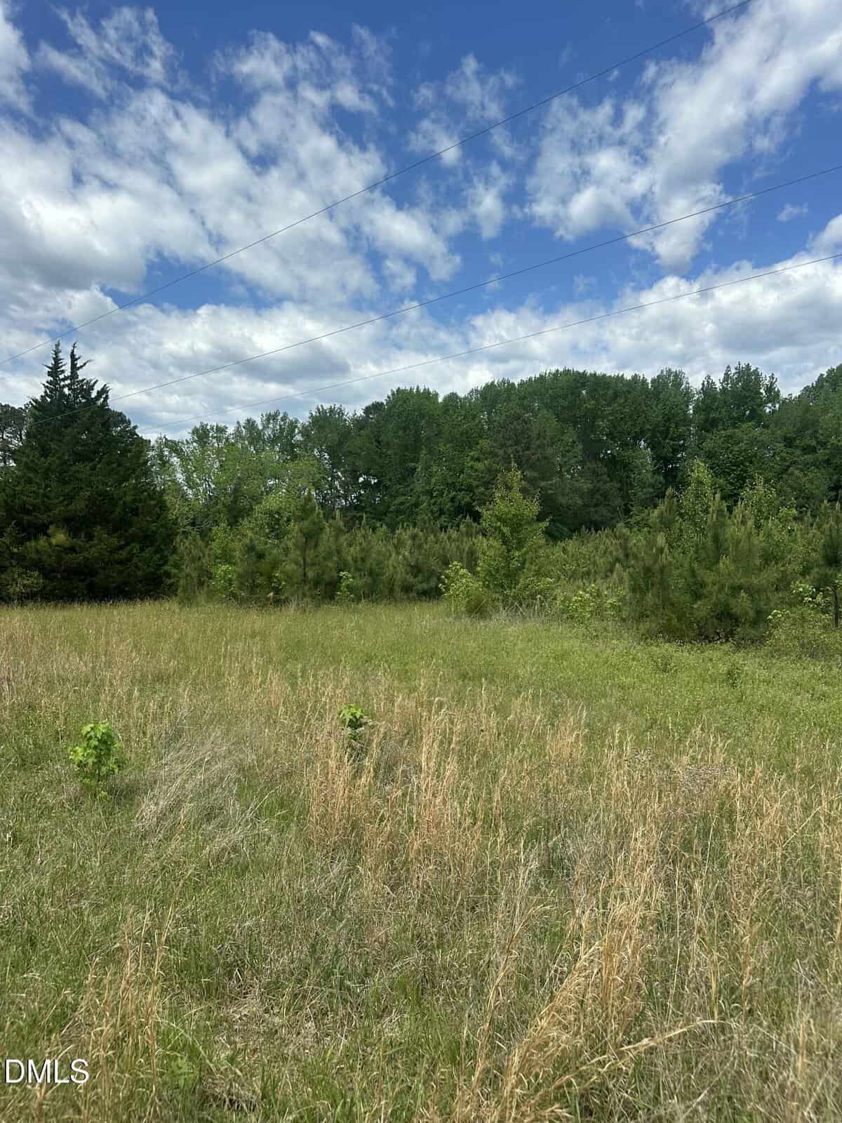 A grassy field with tall dry and green grass, small shrubs, and scattered trees under a partly cloudy sky. A dense forest line is visible in the background. The sky is blue with white clouds.