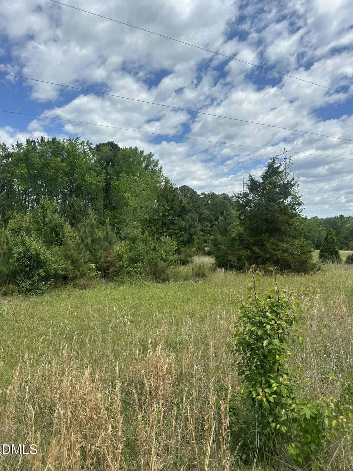 A grassy field with tall, wild grass in the foreground, scattered shrubs, and dense, green trees in the background under a partly cloudy blue sky. Power lines are visible crossing the upper portion of the image.