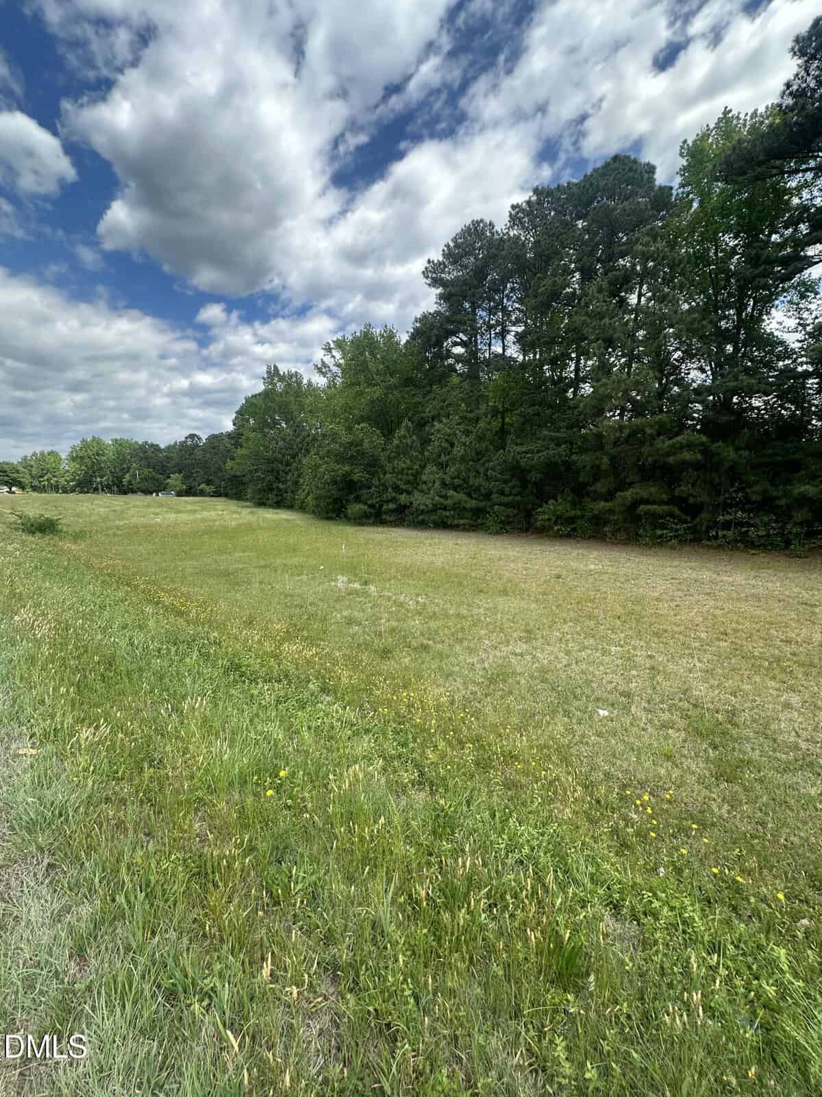 Open grassy field with a few wildflowers in the foreground, bordered by dense green trees on the right under a partly cloudy sky.