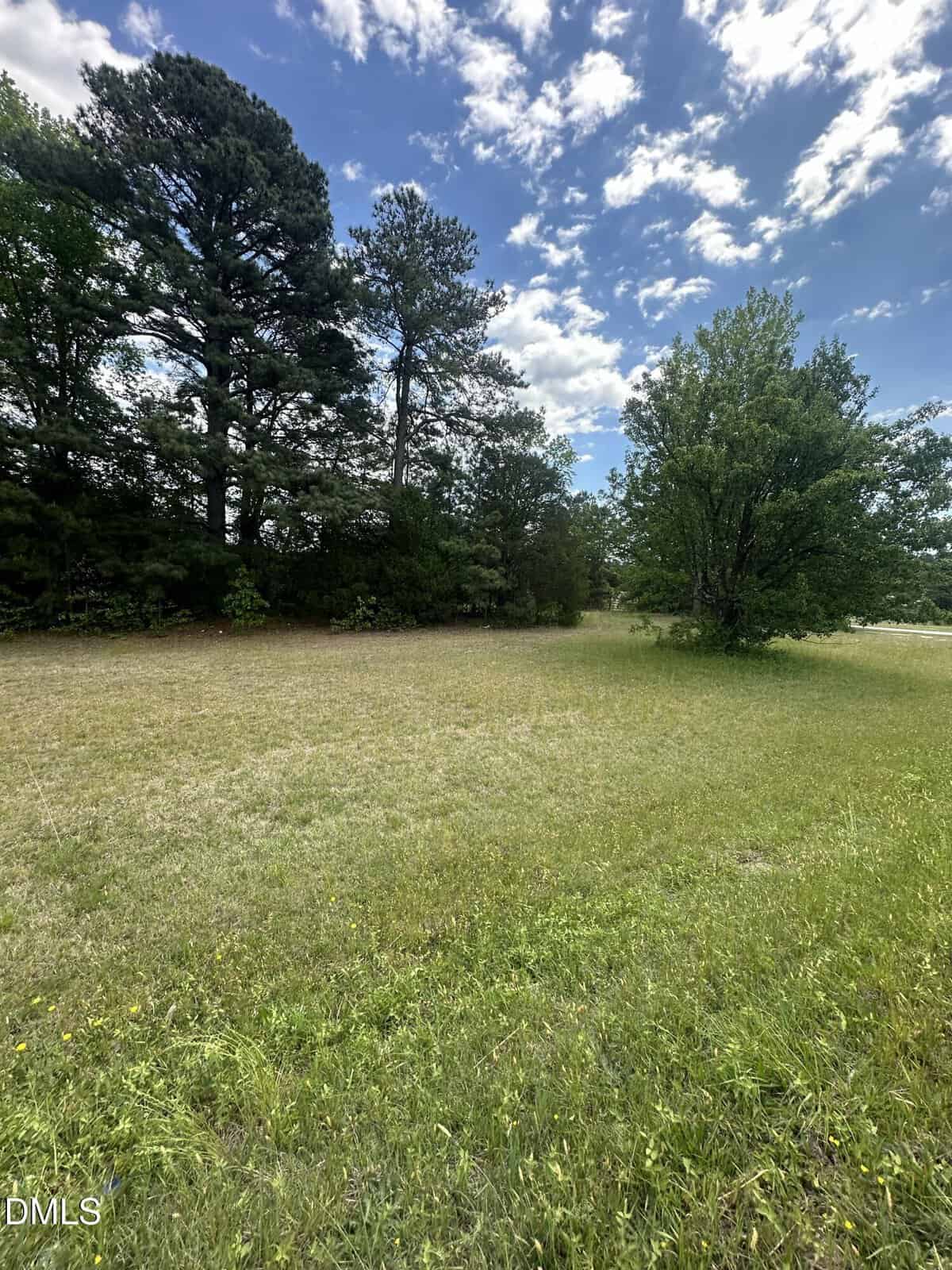 Open grassy field with patches of yellow flowers, bordered by tall trees under a partly cloudy, blue sky.