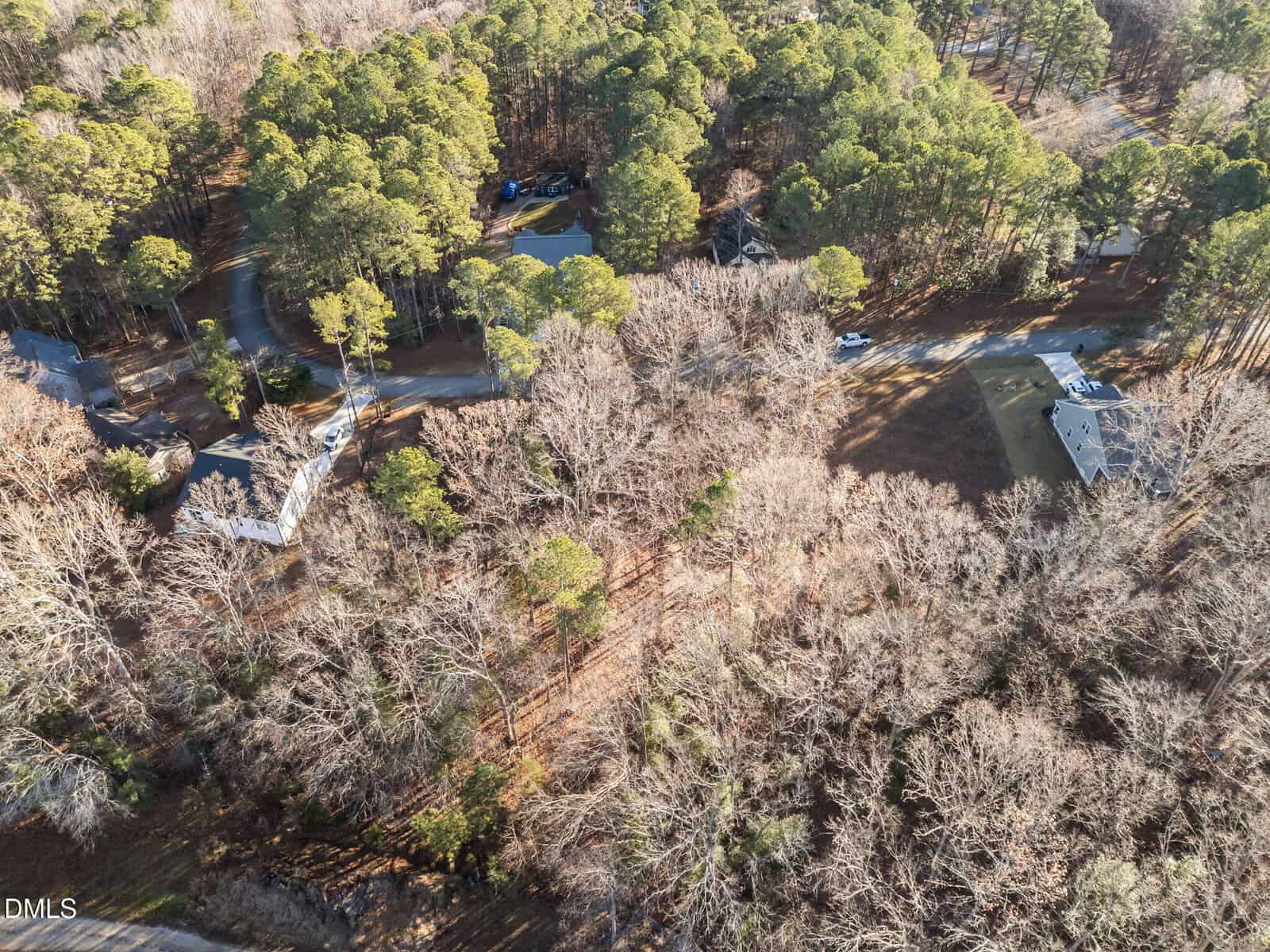 Aerial view of a wooded residential area with several houses, leafless trees, and a curving road running through the neighborhood in late autumn or winter.