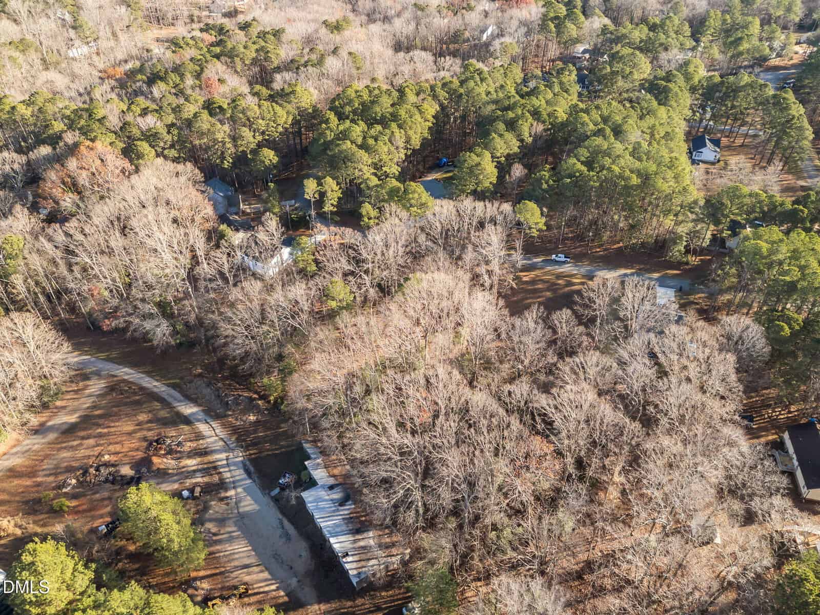 Aerial view of a wooded residential area with a mix of leafless and evergreen trees, winding roads, scattered houses, and patches of sunlight and shadow on the ground.