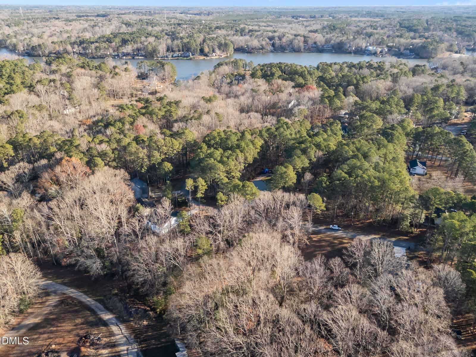 Aerial view of a wooded suburban area with a mix of deciduous and evergreen trees, houses spread throughout, and a large lake in the background surrounded by more homes and forest.