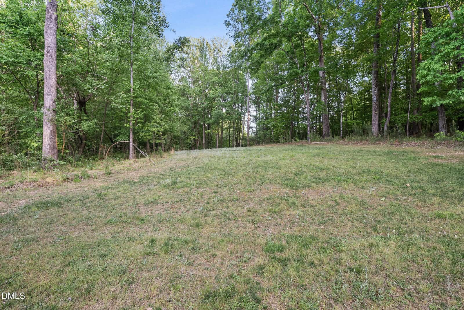 A grassy clearing bordered by tall, green trees in a wooded area under a blue sky. Sparse patches of grass and sunlight filtering through the leaves create a peaceful, natural setting.