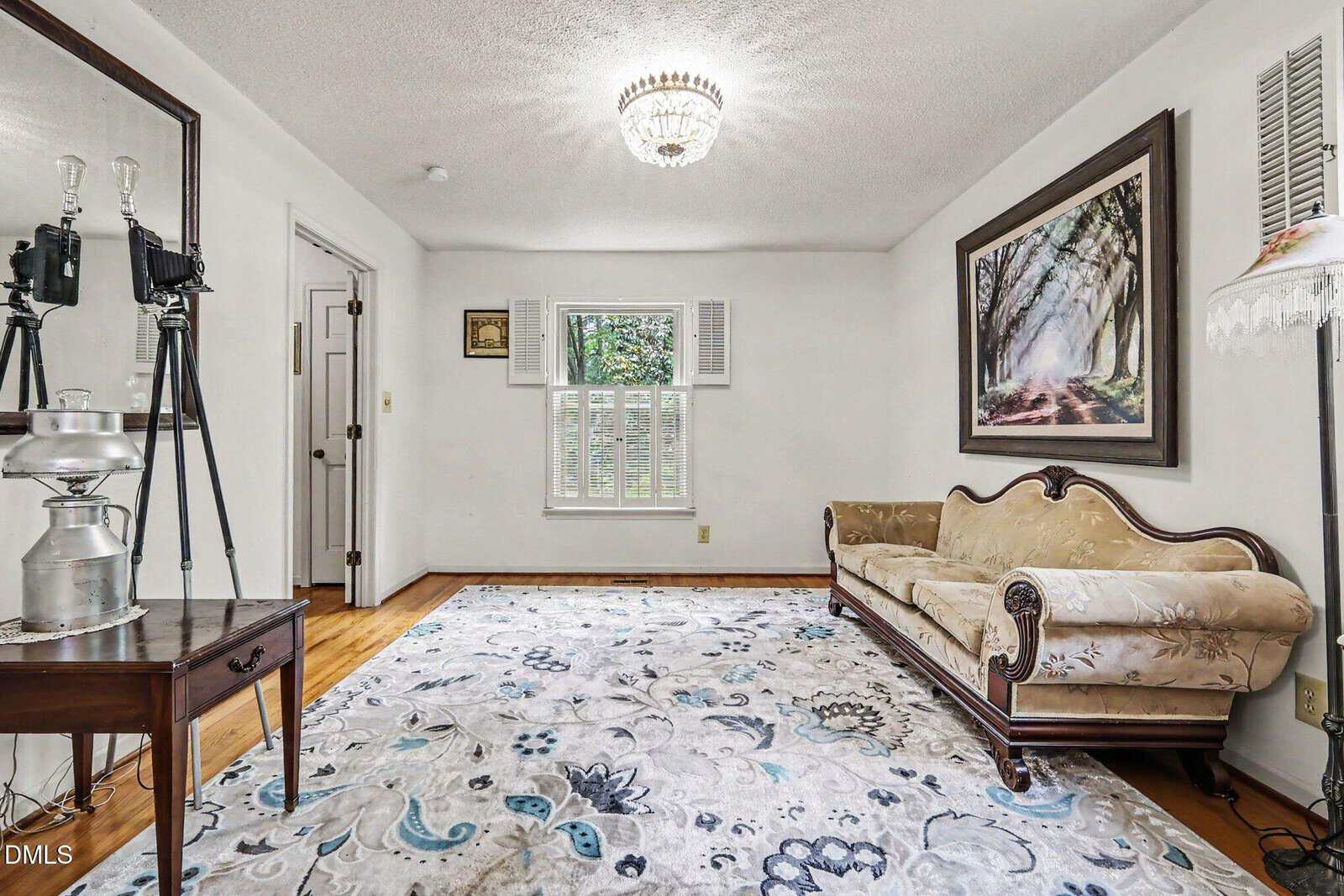 Bright living room with a patterned rug, ornate sofa, large framed forest artwork, window with white shutters, vintage lamps, and old cameras on a tripod. Hardwood floor and white walls create a cozy, classic feel.