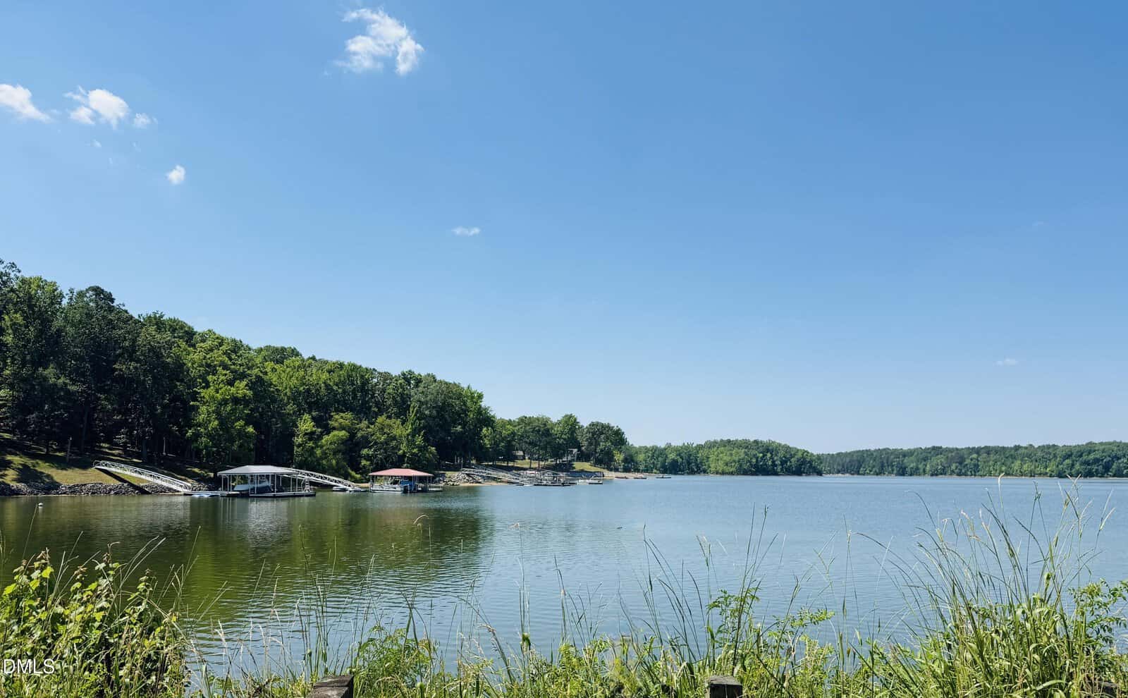 A calm lake with green trees along the shore, a few boat docks, and a clear blue sky with scattered clouds. Tall grass and plants frame the water in the foreground.