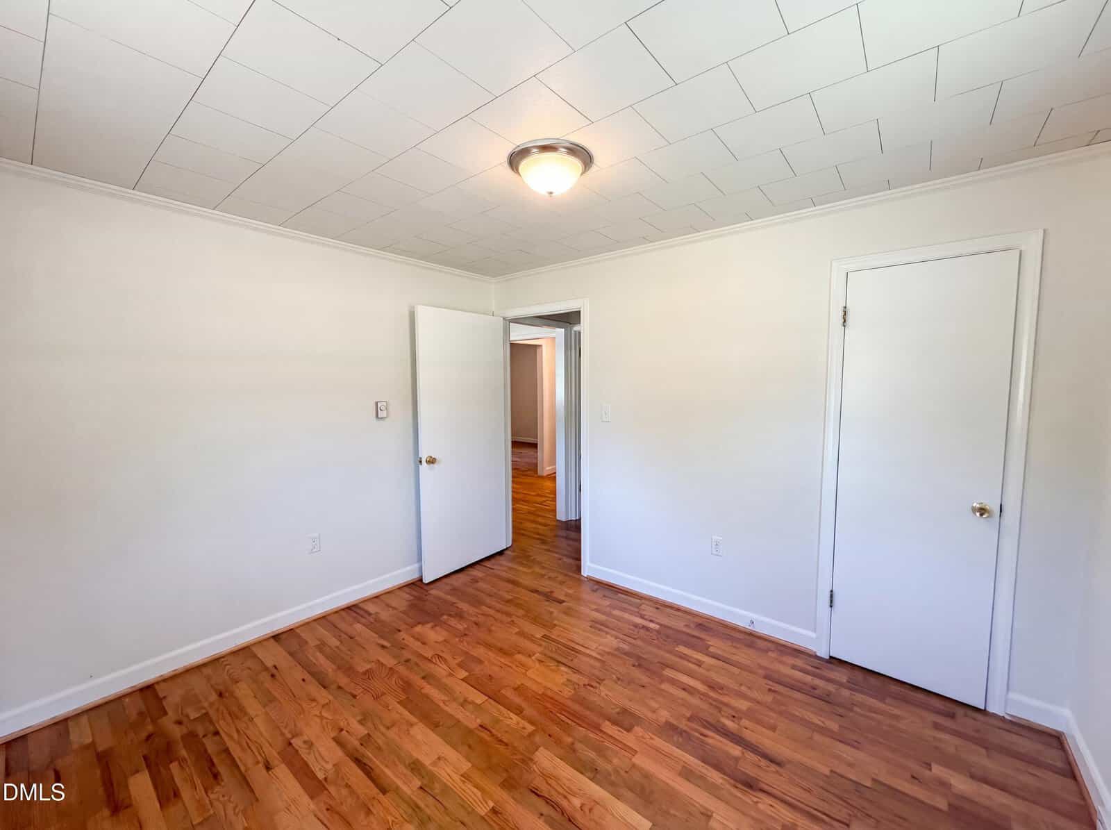 Empty room with white walls, a white ceiling with a central light fixture, hardwood floors, one open door, and one closed door. The room appears bright and clean with natural light.