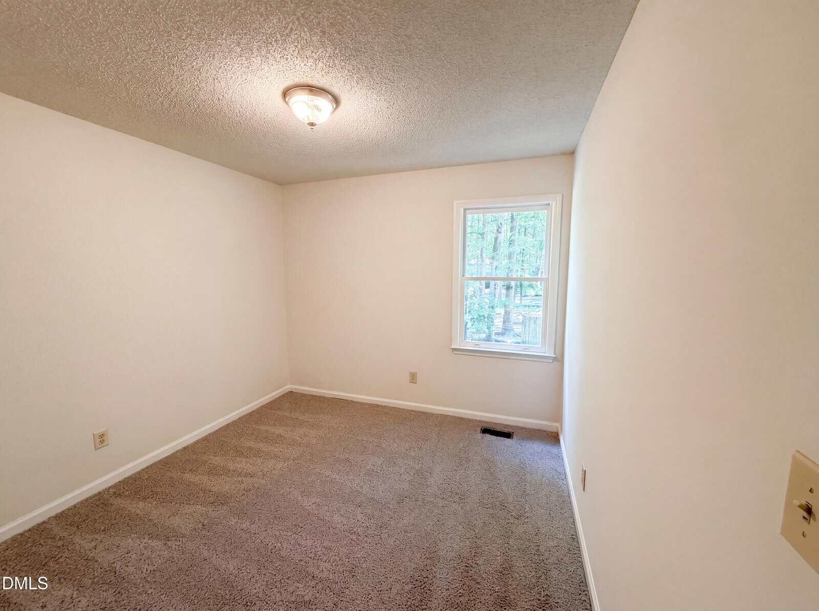 Small empty room with beige carpet, white walls, a ceiling light, and a single window letting in natural light with a view of trees outside.