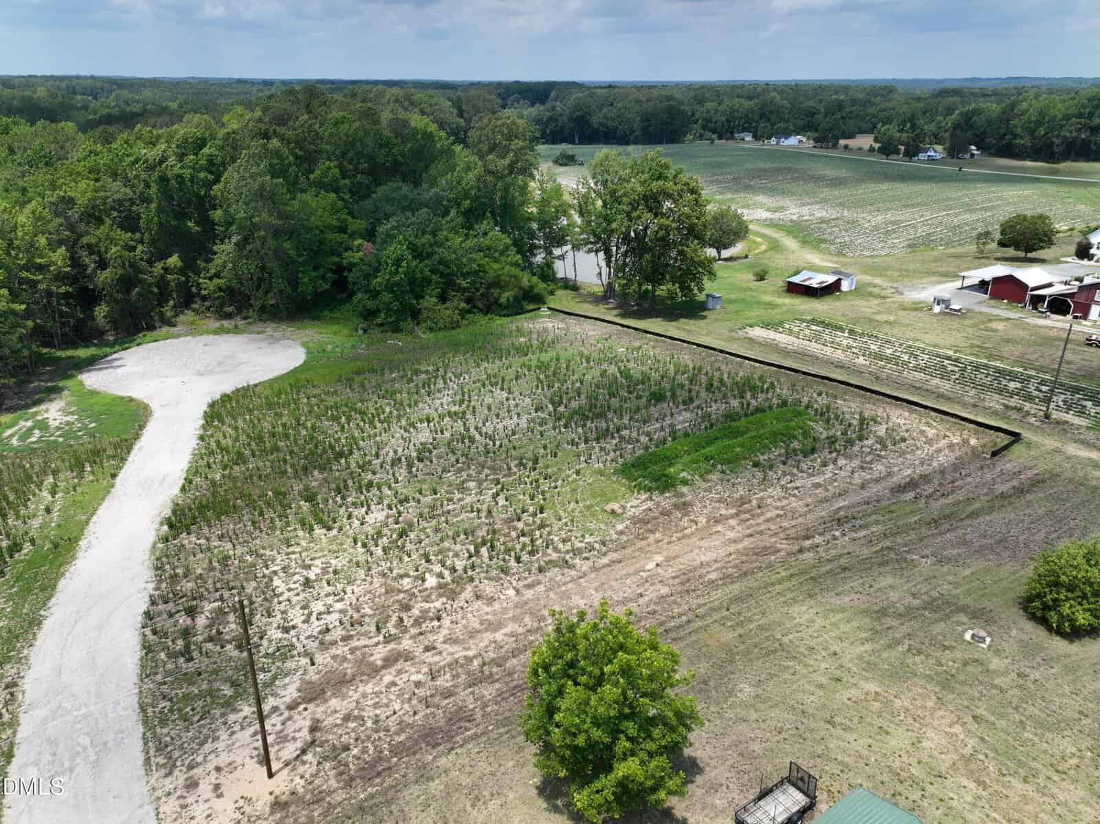 Aerial view of a rural landscape with a small, rectangular field containing young plants, surrounded by grassy areas, trees, a curved paved road, and several farm buildings in the background.