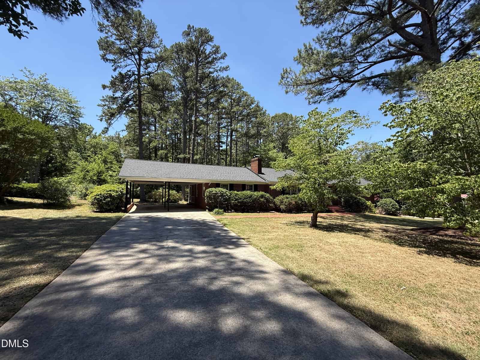 A single-story brick house with a carport sits at the end of a long, shaded driveway, surrounded by tall pine trees and green bushes under a clear blue sky.