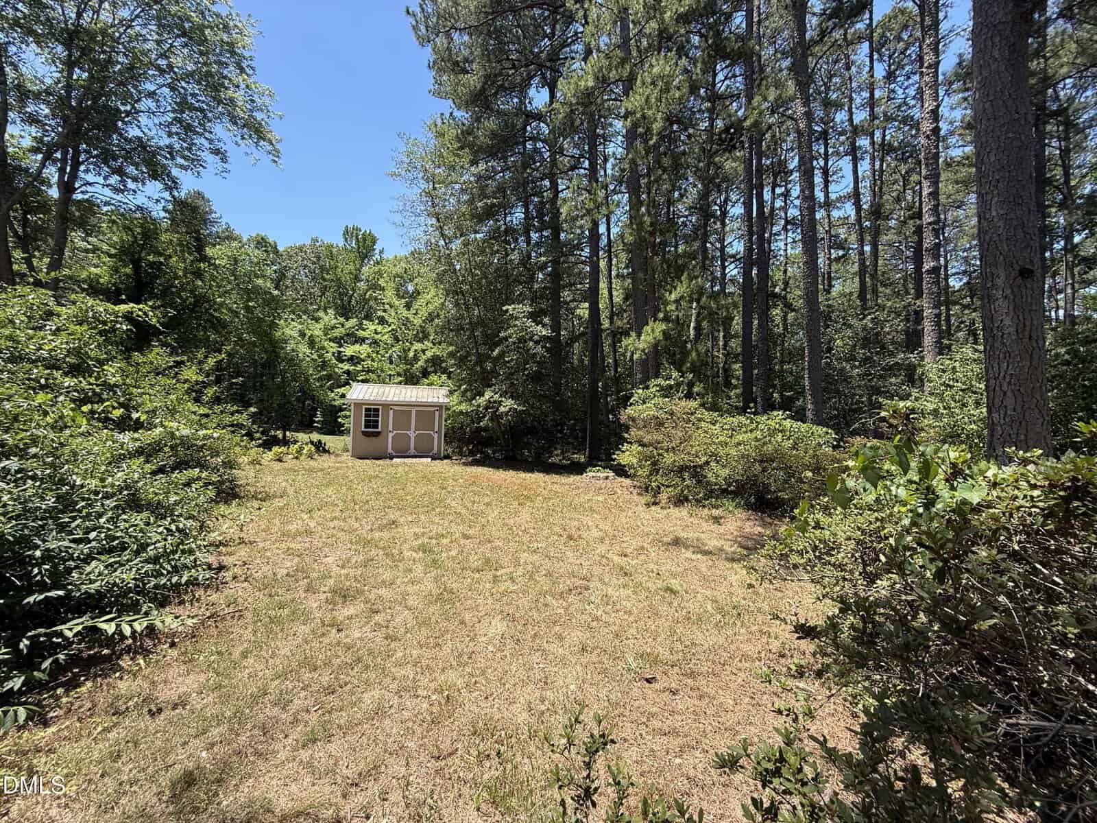 A small beige shed with white trim sits in a clearing surrounded by tall pine trees and dense greenery under a bright blue sky.