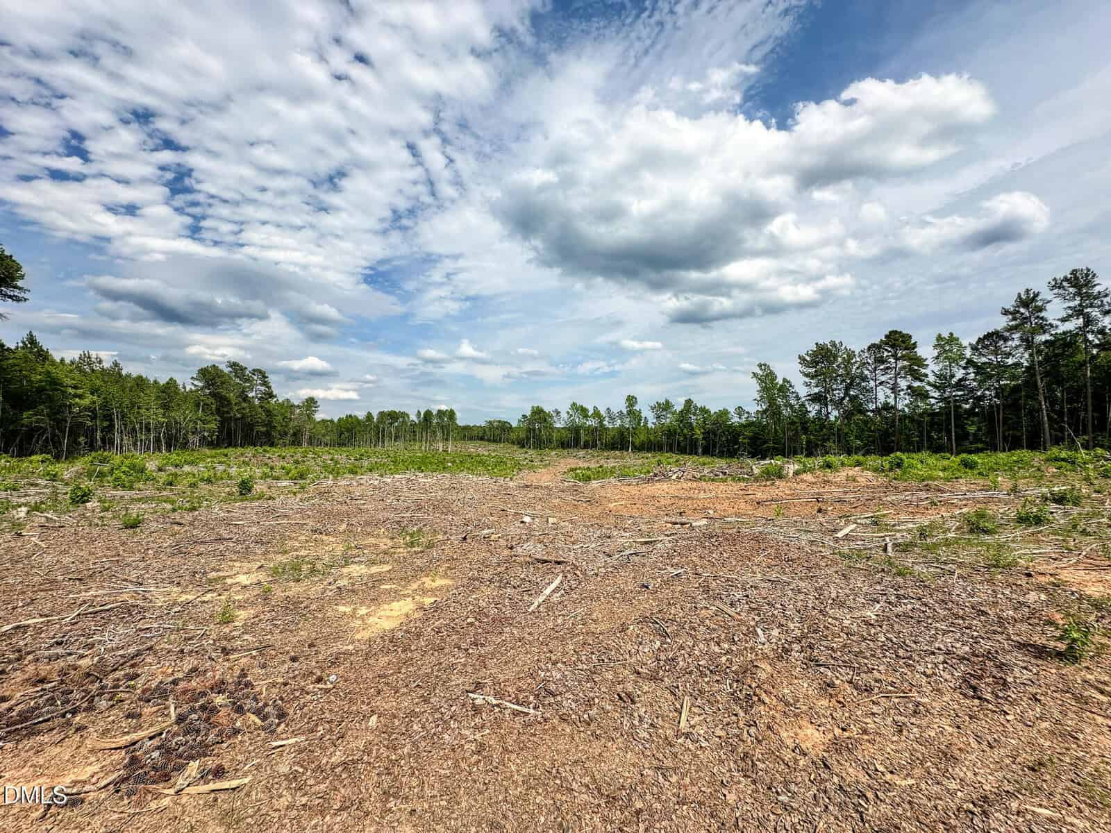 Cleared land with scattered branches and tree stumps, bordered by dense forest under a partly cloudy sky.