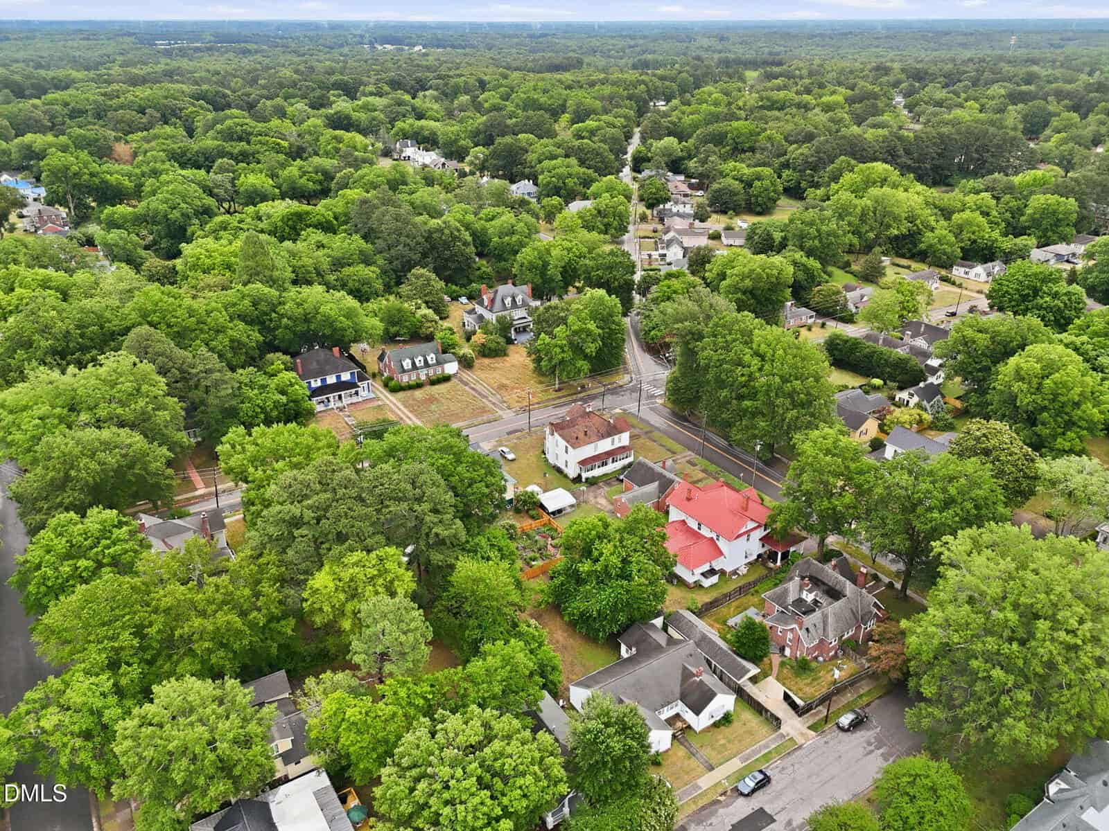 Aerial view of a residential neighborhood with many green trees, houses with varied roof colors, and intersecting roads on a cloudy day.