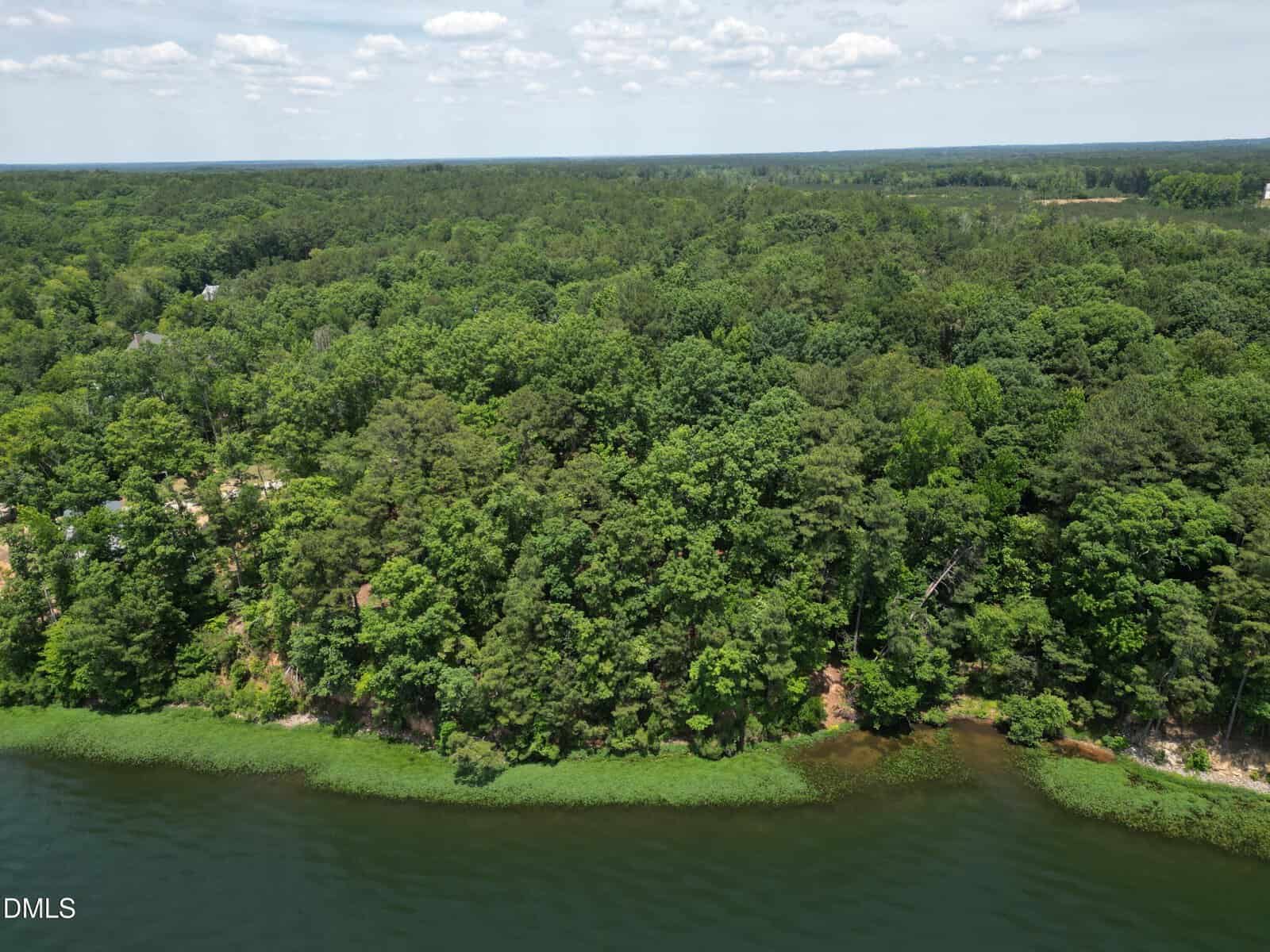 Aerial view of a forested area with dense green trees along the edge of a calm body of water on a clear day with a blue sky and scattered clouds.