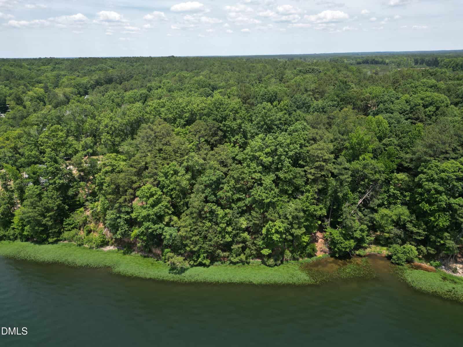 A dense, green forest borders a calm lake with clear water and a narrow strip of vegetation along the shore, under a partly cloudy sky.