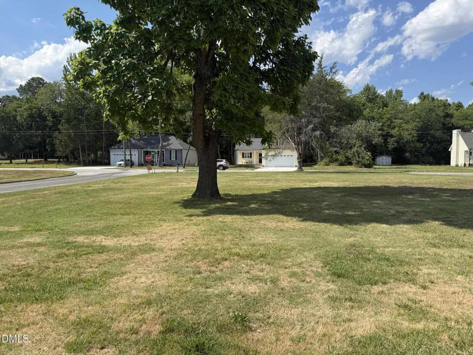 A large grassy yard with a tree in the center, bordered by a road. In the background are houses, trees, and a bright blue sky with scattered clouds.