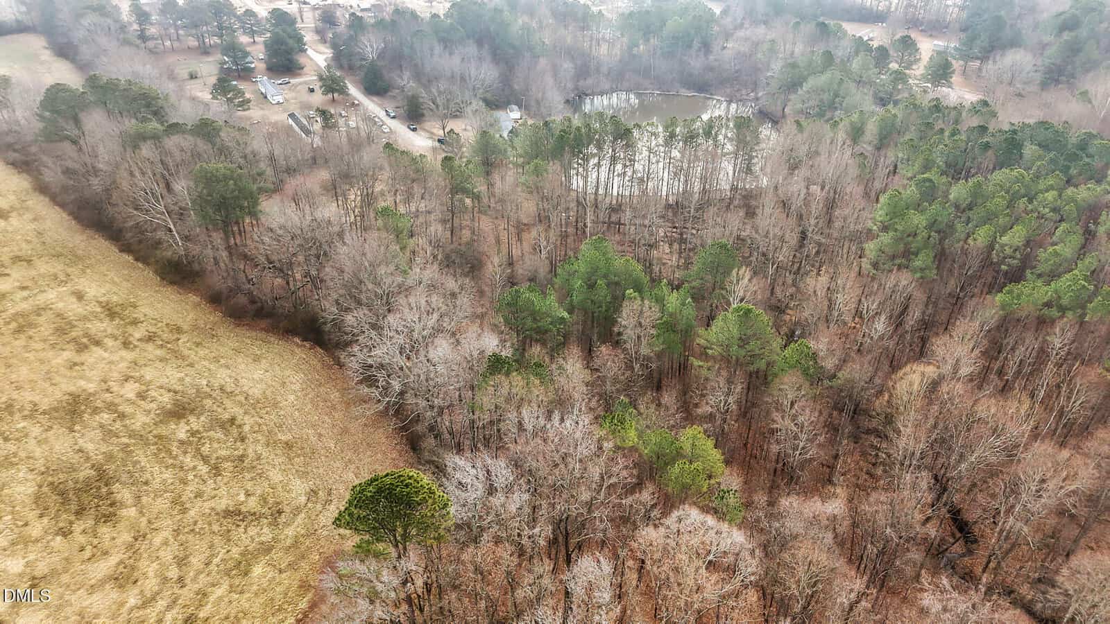 Aerial view of a forest with a mix of evergreen and leafless trees in winter, a grassy field on the left, a small pond near the top, and a parking area with cars in the upper left corner.