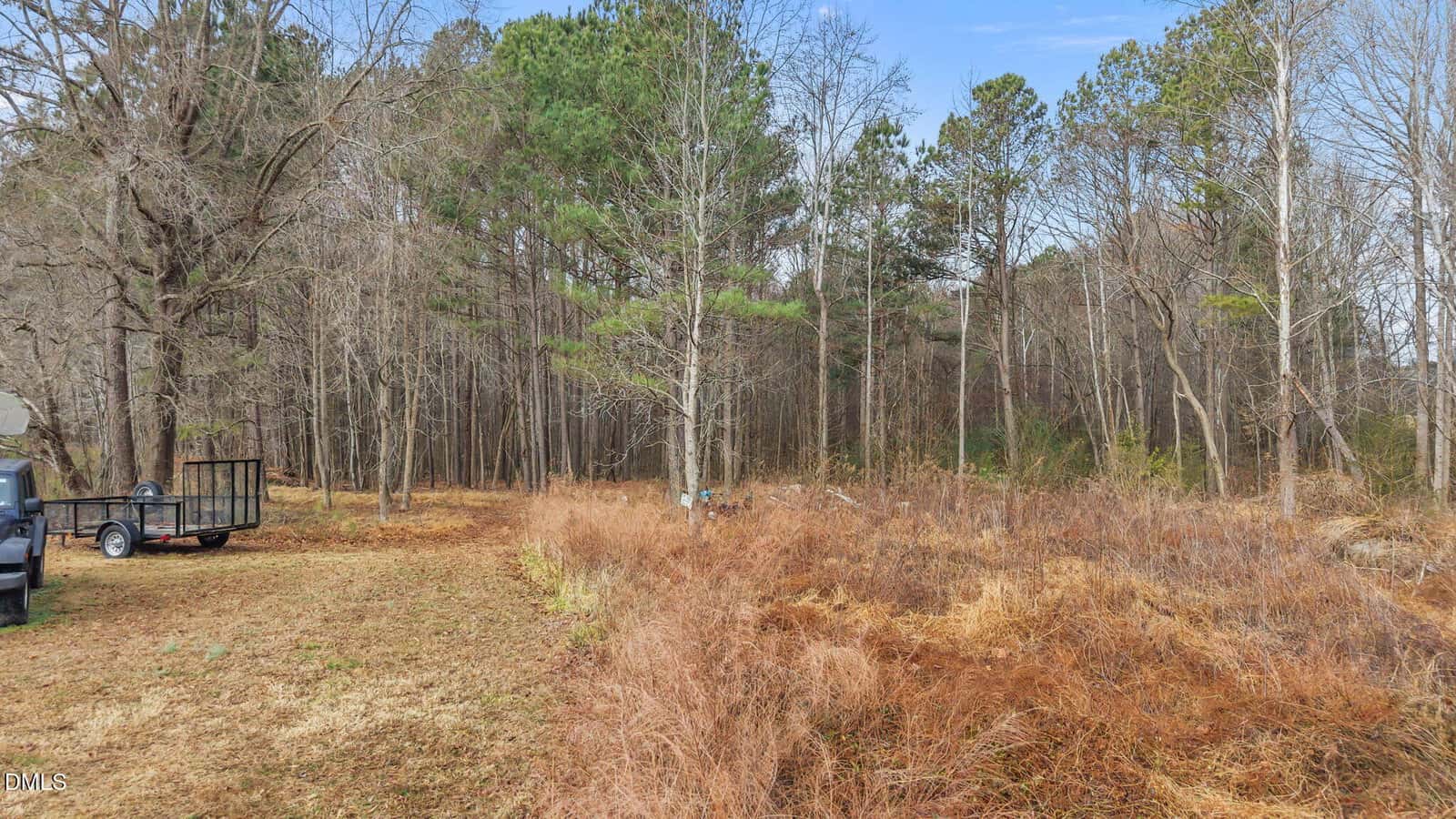A clearing in a wooded area with tall trees, dry grass, and a trailer attached to a vehicle on the left. The sky is clear and blue.