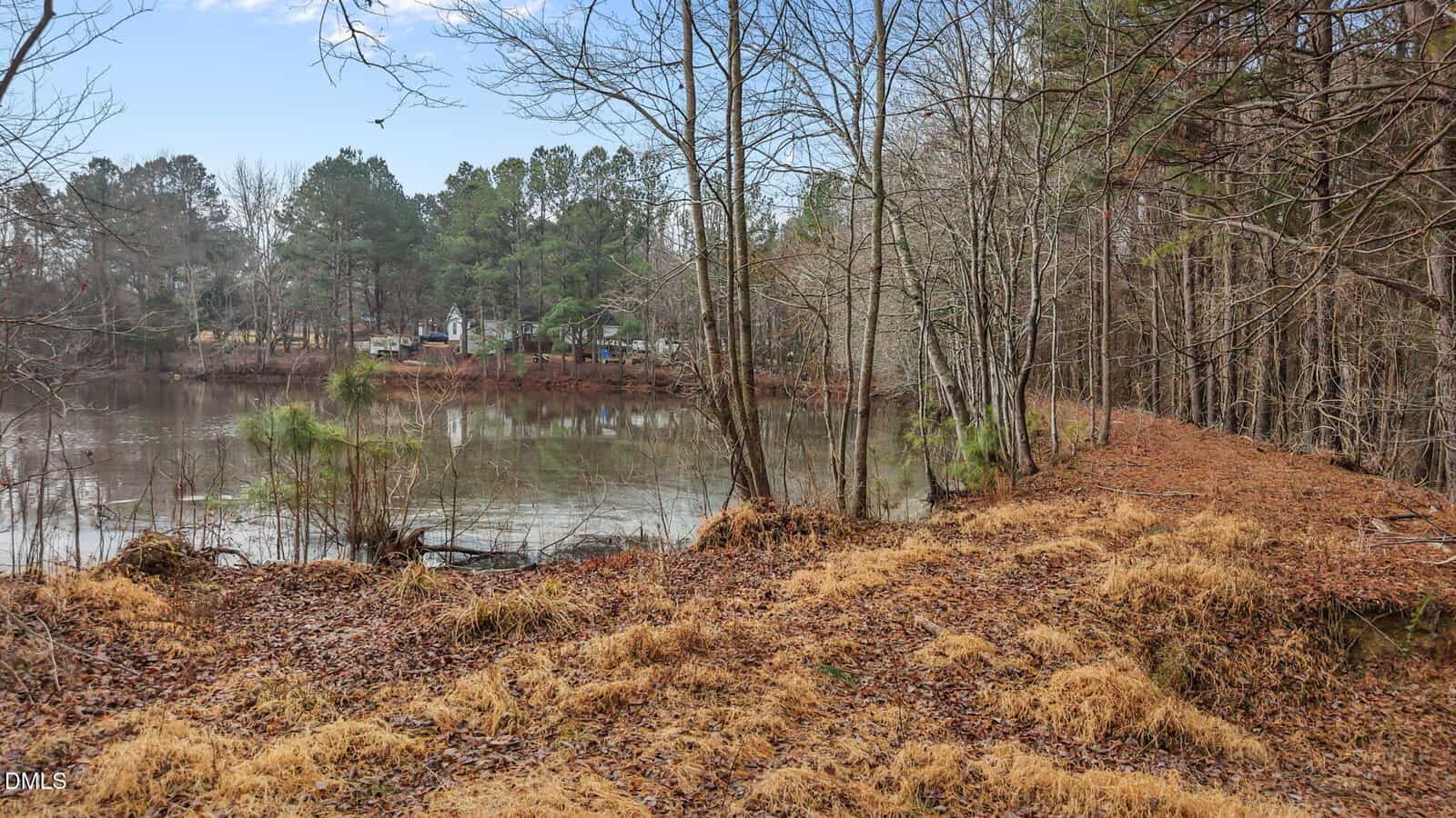 A calm pond bordered by leafless trees and dry grass under a partly cloudy sky, with houses and pine trees visible across the water in the background.