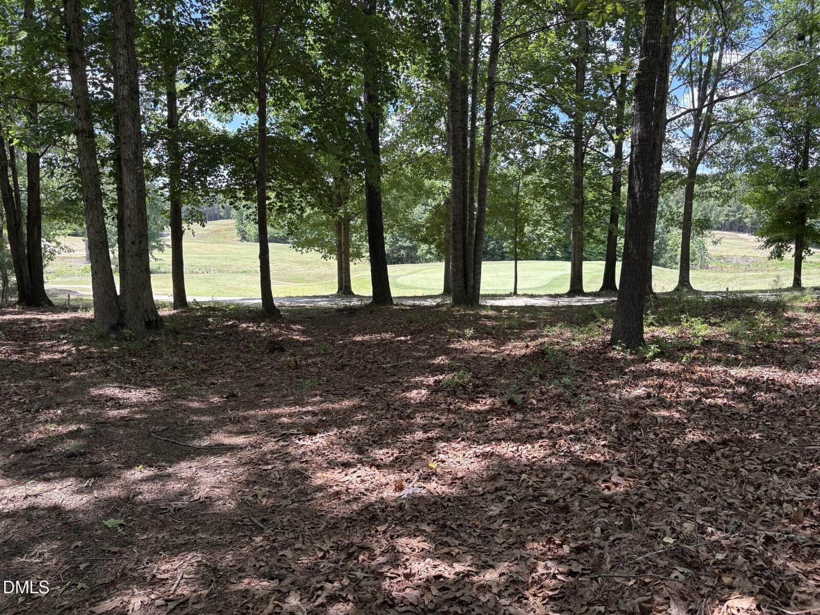 A wooded area with tall trees and scattered fallen leaves on the ground, opening up to a sunlit, grassy field in the background under a partly cloudy sky.
