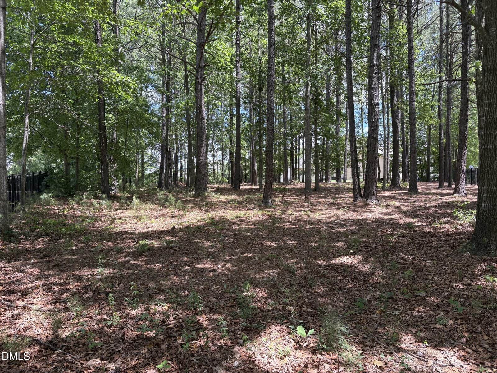 A wooded lot with tall trees, scattered undergrowth, and sunlight filtering through the leaves. The ground is covered in fallen leaves and patches of grass, creating a peaceful, natural scene.