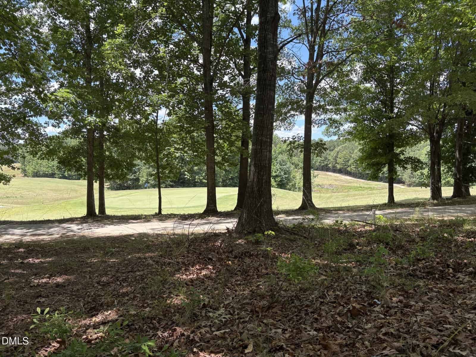 View of a grassy field and distant hills seen through a row of tall trees under a partly cloudy sky, with dry leaves and dirt covering the ground in the foreground.