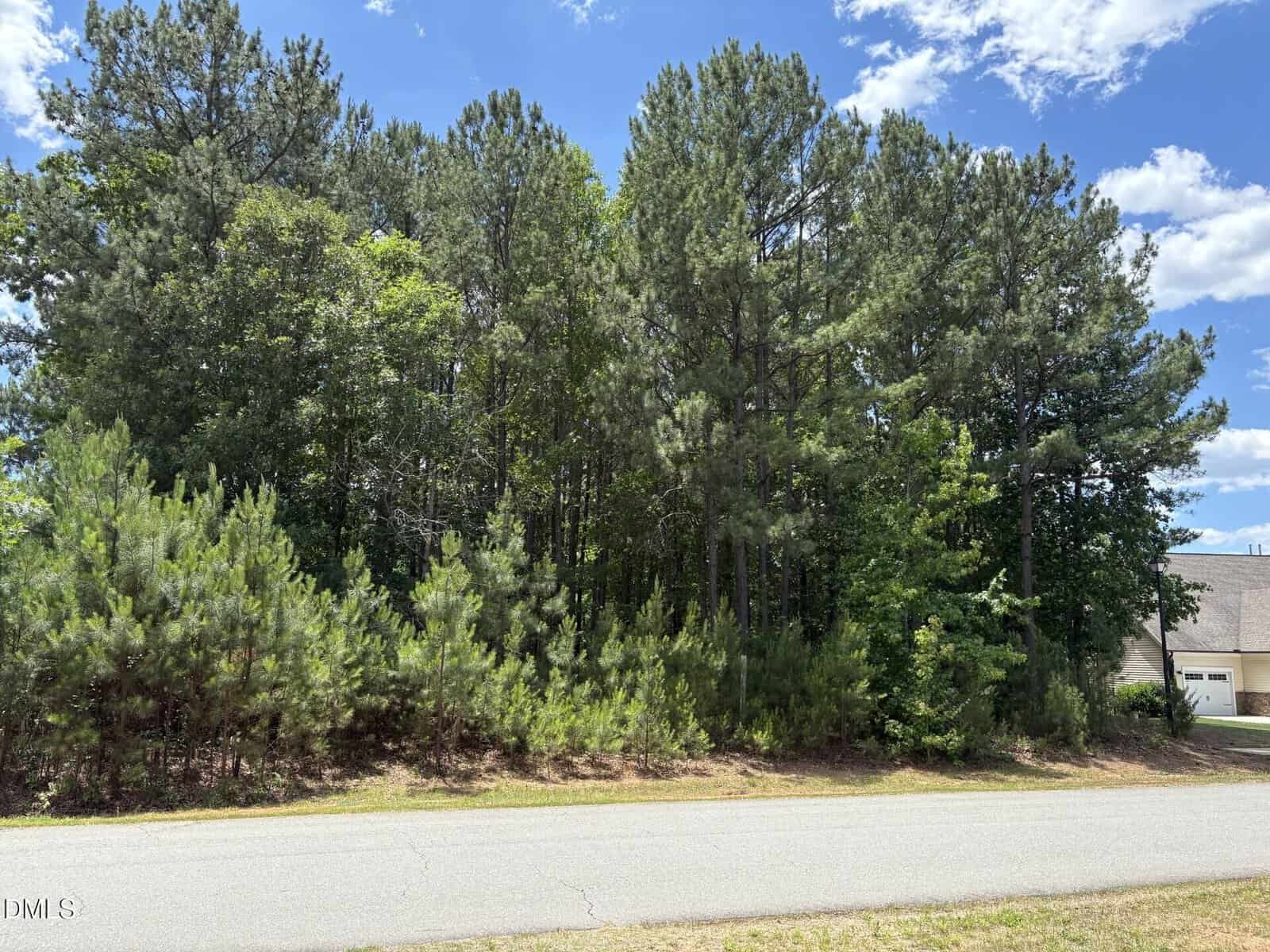 A paved road runs past a dense cluster of tall pine trees and green shrubs under a bright blue sky with scattered clouds; part of a house roof is visible on the right side.