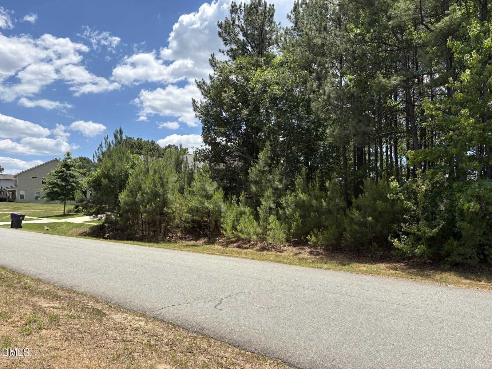 A quiet suburban street runs alongside a dense line of tall pine trees under a partly cloudy sky, with a house and trash bins visible on the left.