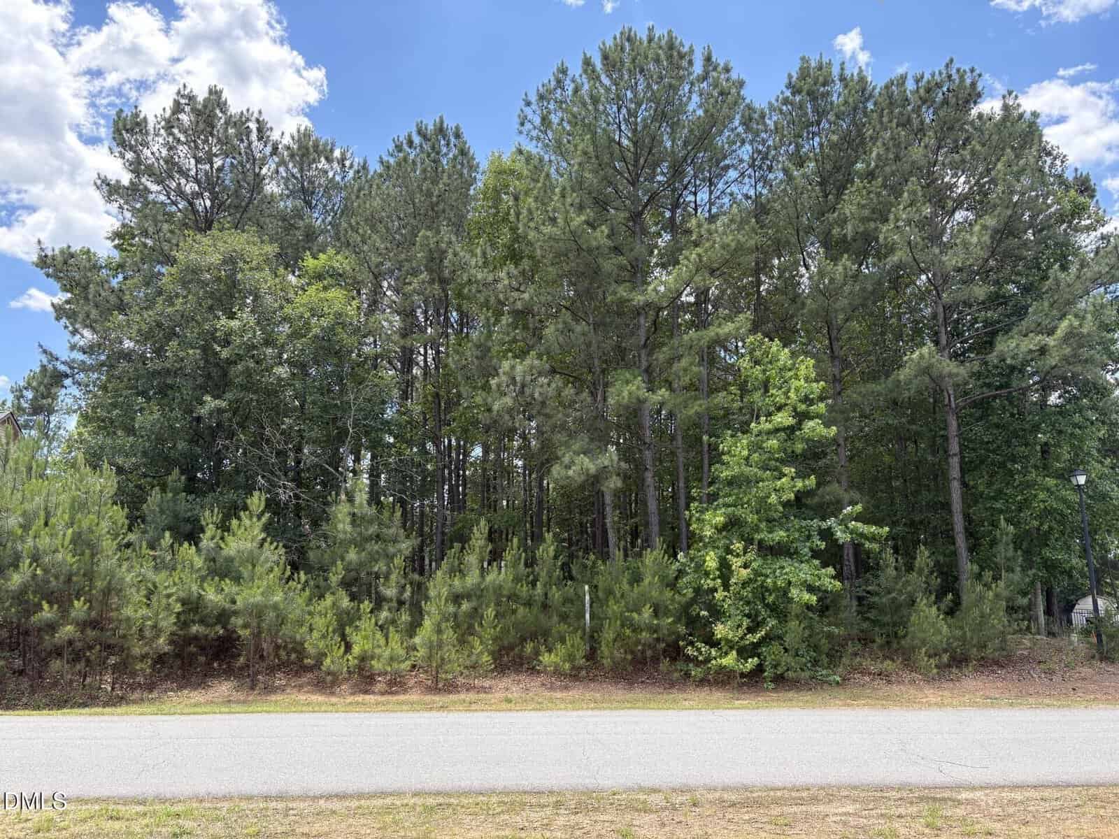 A paved road runs in front of a dense forest with tall pine trees and lush green undergrowth beneath a partly cloudy blue sky near 55 Grand Fairway Drive in Franklinton.