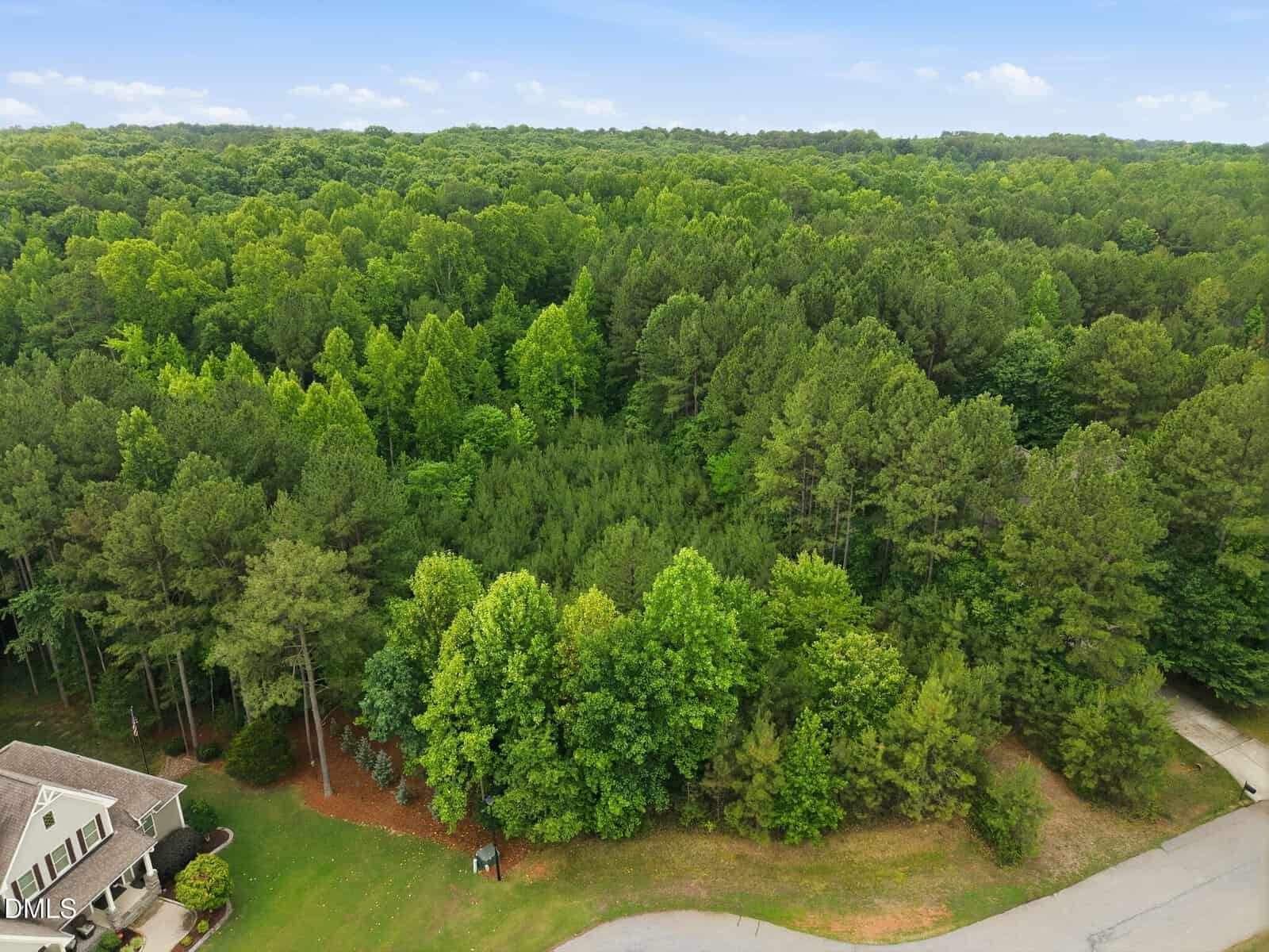 A wooded lot with dense trees borders a suburban street. A nearby house with a manicured lawn is visible on the left. The sky is clear with a few clouds. Dense forest extends into the background.