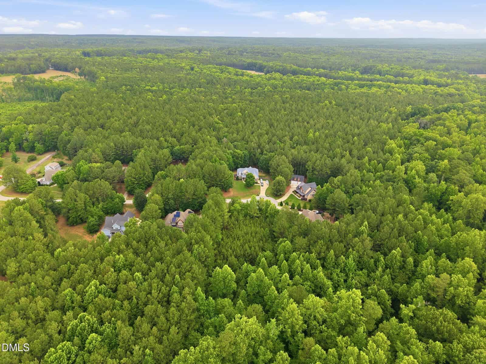 Aerial view of several homes surrounded by dense green forest, with clearings around each property. The landscape is mostly wooded, with a blue sky and scattered clouds above.