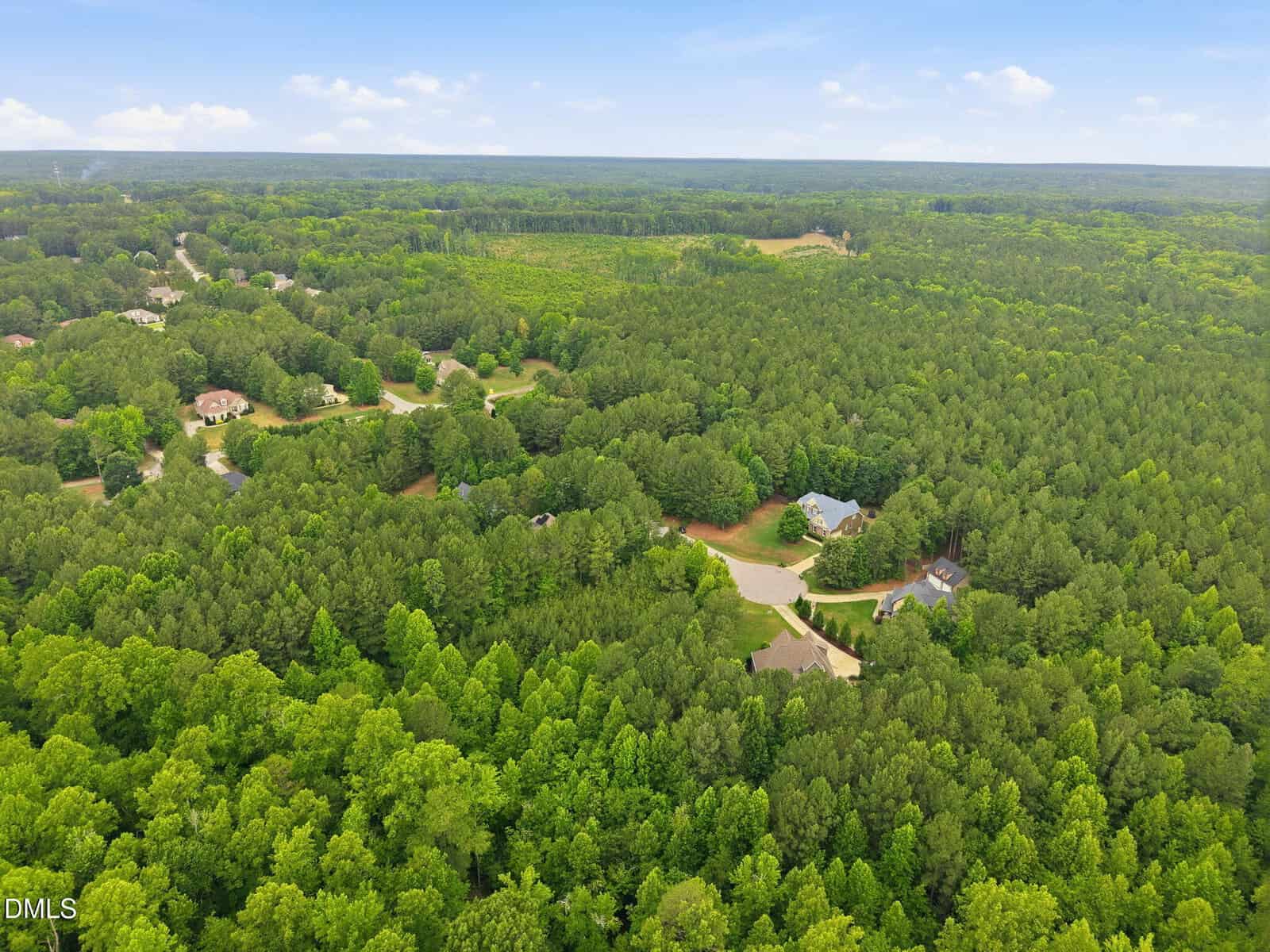 Aerial view of a wooded residential area with several houses surrounded by dense green trees, winding roads, and clear skies overhead. Distant tree lines and a few open clearings are visible in the background.