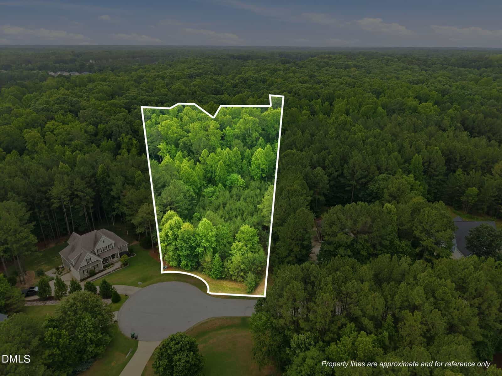 Aerial view of a wooded property at 160 Siltstone Drive in Franklinton, outlined in white at the end of a cul-de-sac, surrounded by dense green trees with a large house nearby on the left.