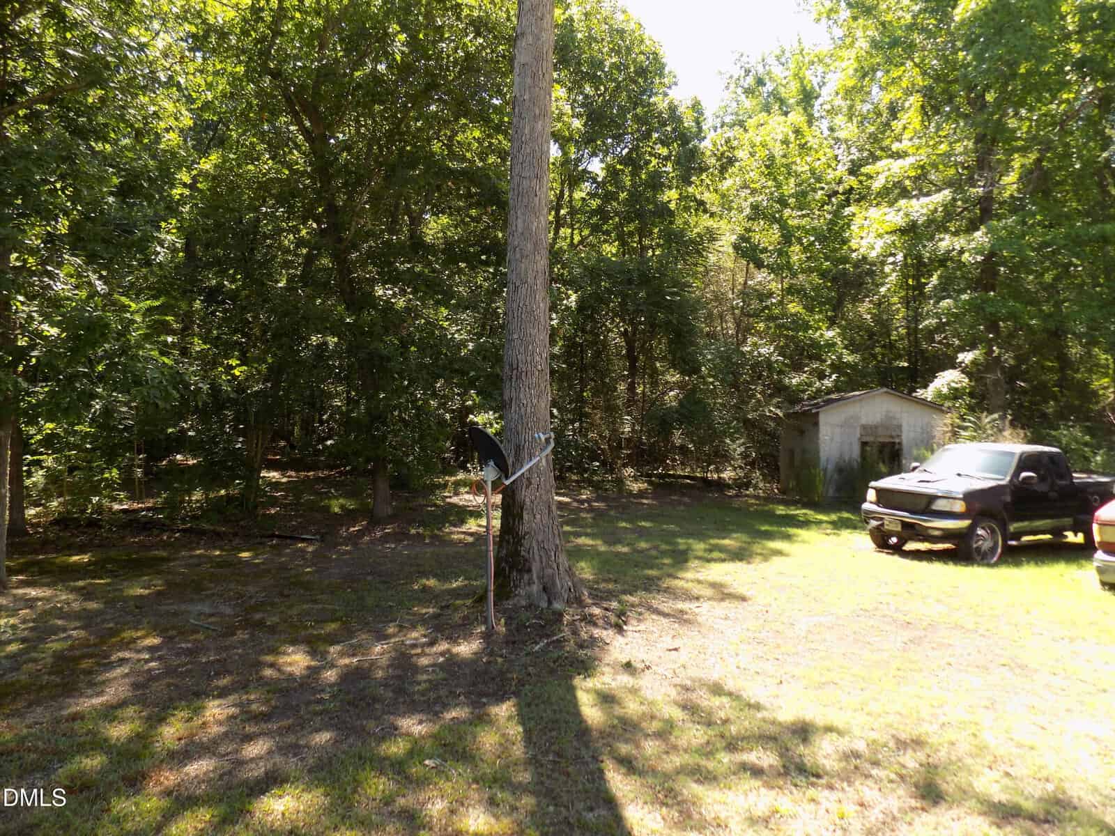 A sunny yard with a tree holding a satellite dish, a black truck parked nearby, an old shed in the background, and dense green trees surrounding the area.