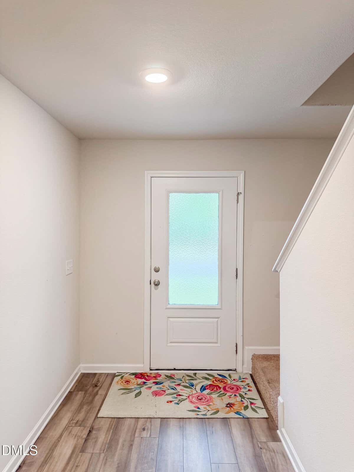 A white front door with a frosted glass panel is centered in a small entryway. The floor features wood-style vinyl and a floral doormat. A carpeted staircase is visible on the right.
