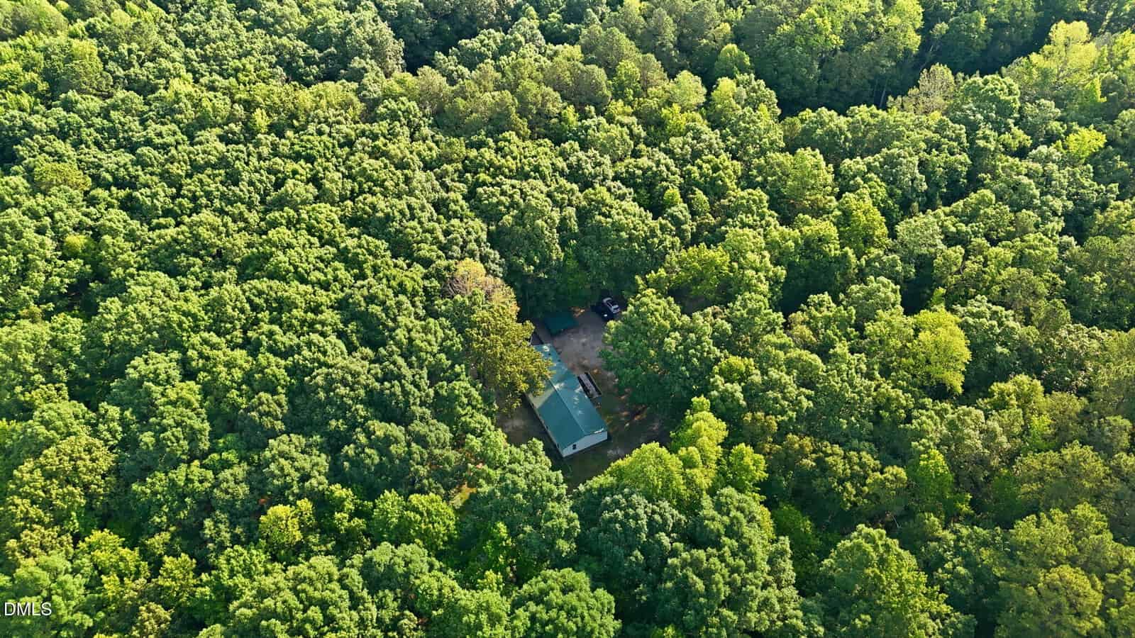 Aerial view of a house with a green roof surrounded by dense, lush green forest. Sunlight filters through the trees, creating a mix of light and shadow across the canopy.