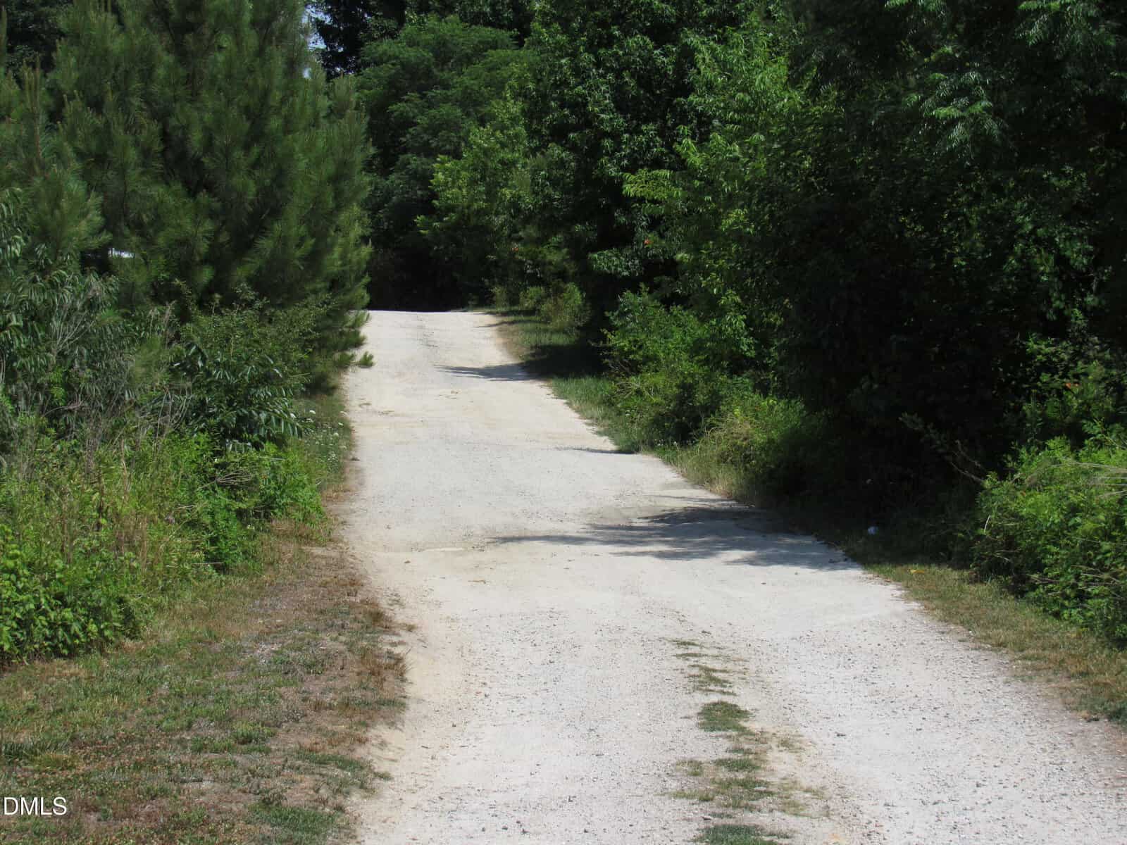 A sunlit gravel road curves gently uphill, bordered by dense green trees and bushes on both sides, with patches of grass and exposed soil along the edges.