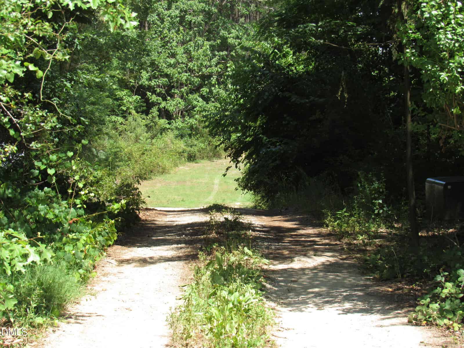 A sunlit dirt path bordered by green bushes and trees leads into a grassy clearing, surrounded by dense forest and shade.
