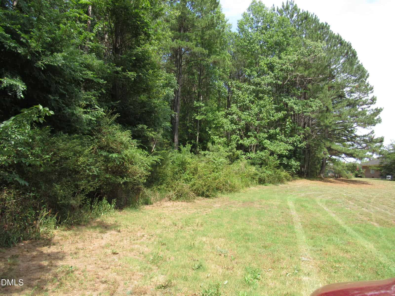 A grassy clearing at 45 Mayodan Lane, Franklinton, features visible tire tracks beside dense woods of tall green trees and bushes under a partly cloudy sky. A portion of a red vehicle appears at the lower right edge.