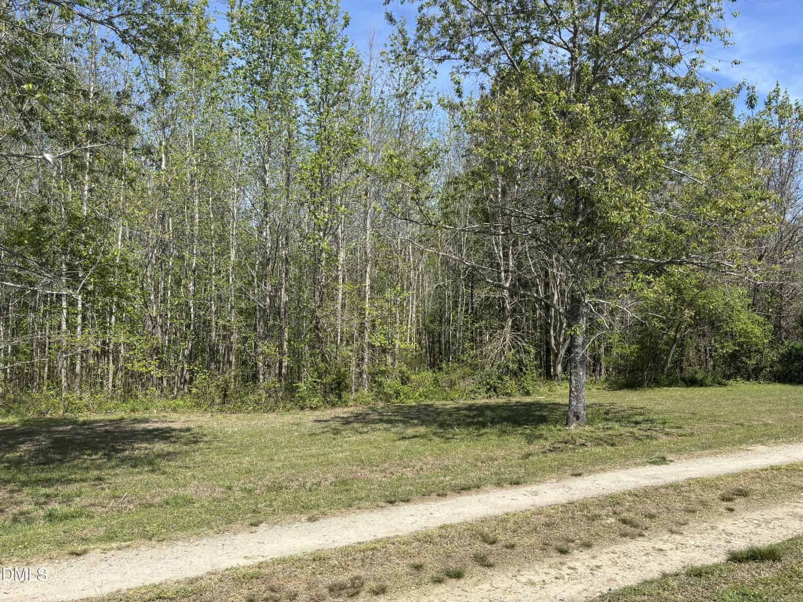 A dirt path runs through grassy land with a single tree on the right and a dense forest of tall, leafy trees in the background under a clear blue sky.