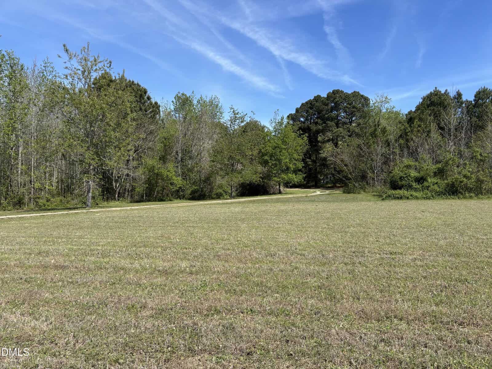 A grassy open field with a narrow dirt path winding toward dense green trees under a bright blue sky with wispy clouds, just beyond 148 Clary Road in Norlina.