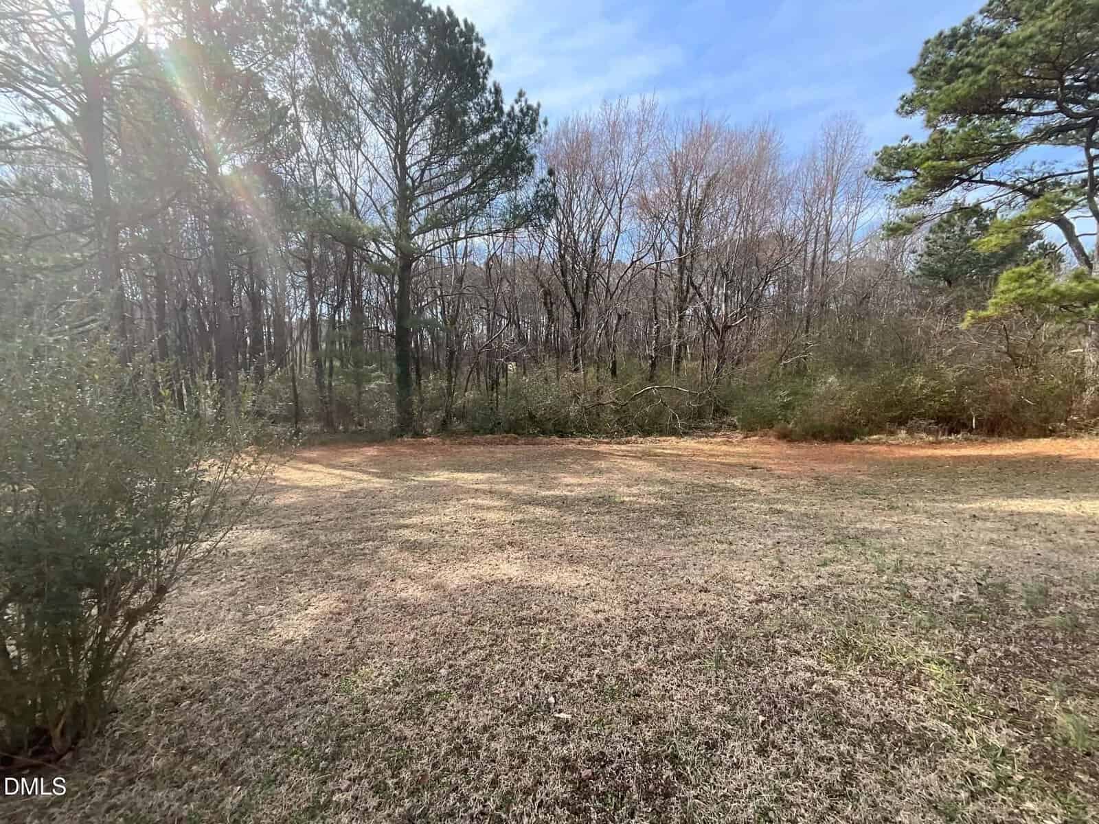 A grassy open yard with sparse, patchy grass bordered by trees under a blue sky. Sunlight filters through the tall pines and leafless trees. Bushes and forested areas line the background.
