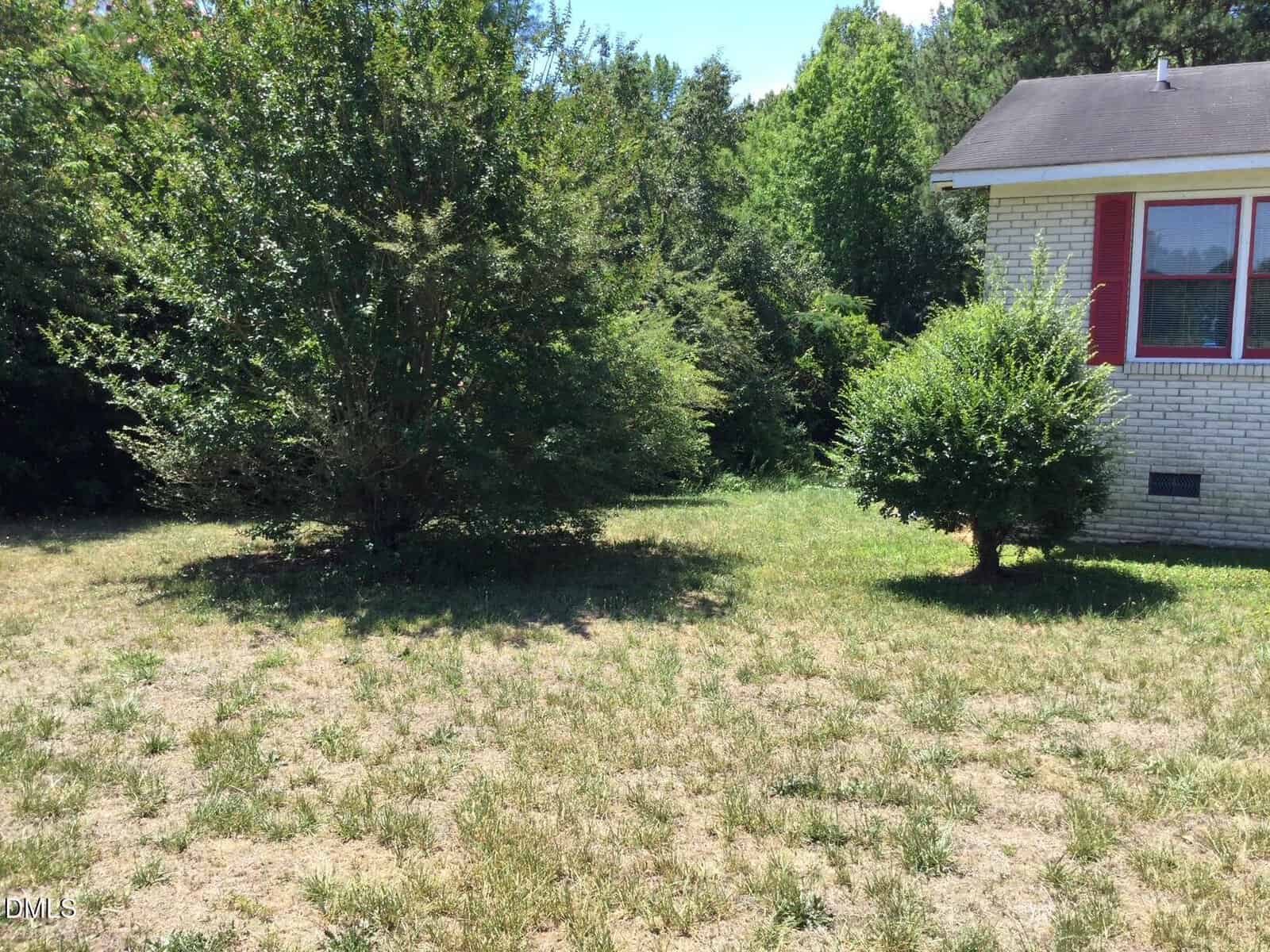 A grassy yard with patchy brown spots, two bushy shrubs, and part of a light brick house with red shutters visible on the right. Trees and greenery fill the background under a clear sky.