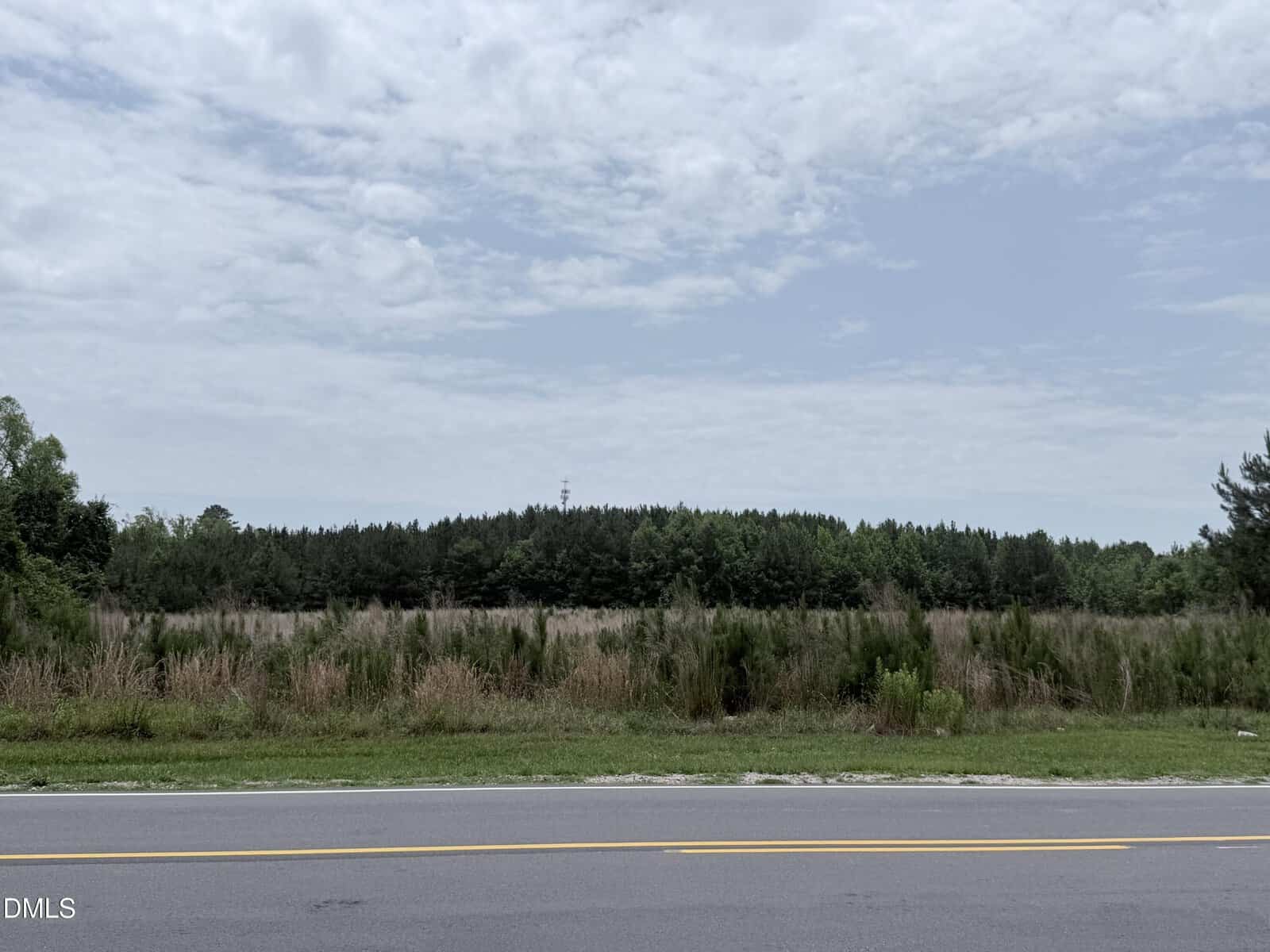 A wide, two-lane road runs in front of a grassy field with tall, wild vegetation and dense trees in the background under a partly cloudy sky.